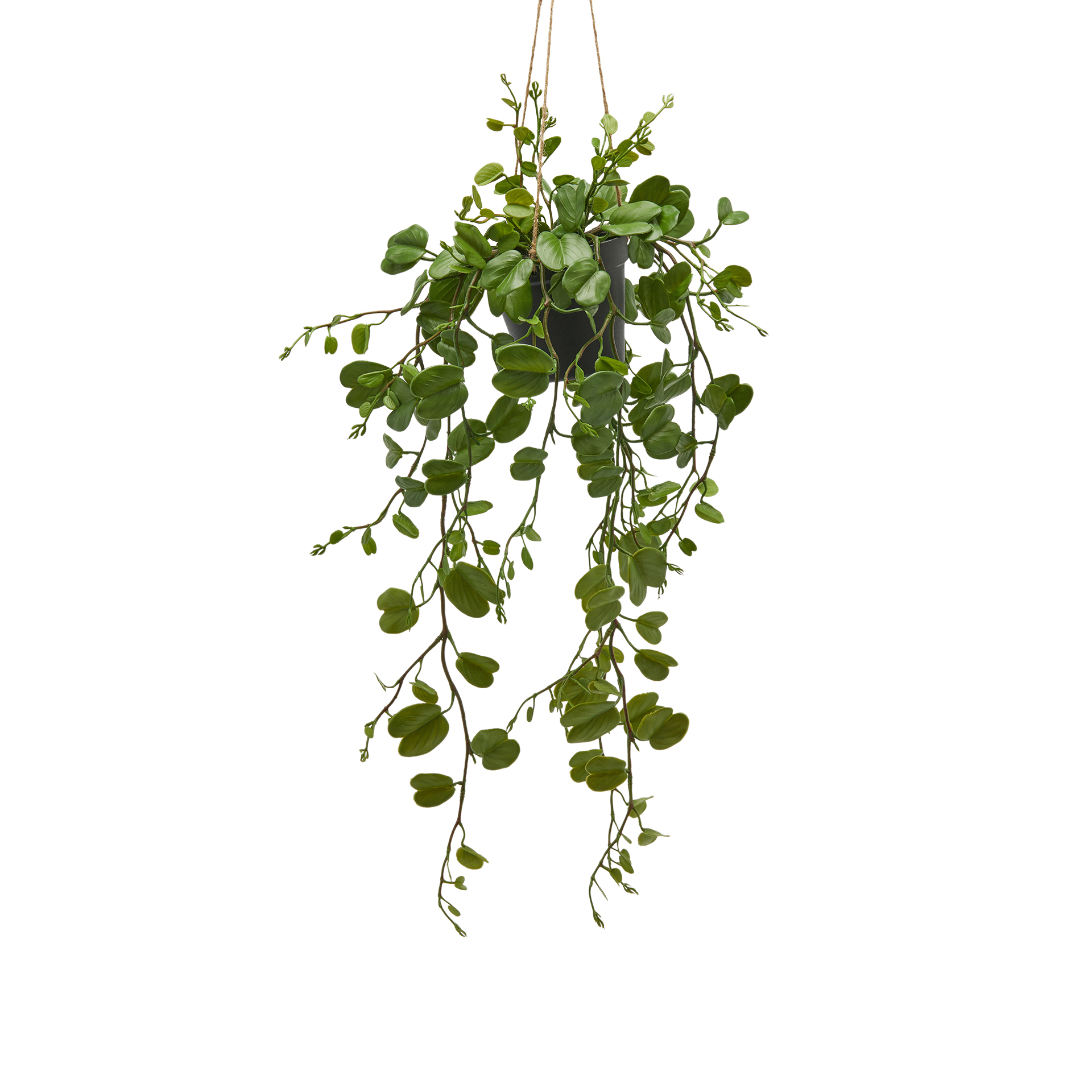 Kunstpflanze-Hänger H: 64 cm-Edg