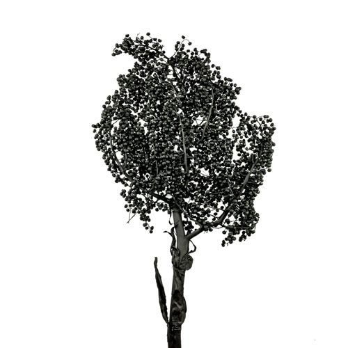 Kunstblumen Palm, Schwarz Decofinder / Grösse: x cm