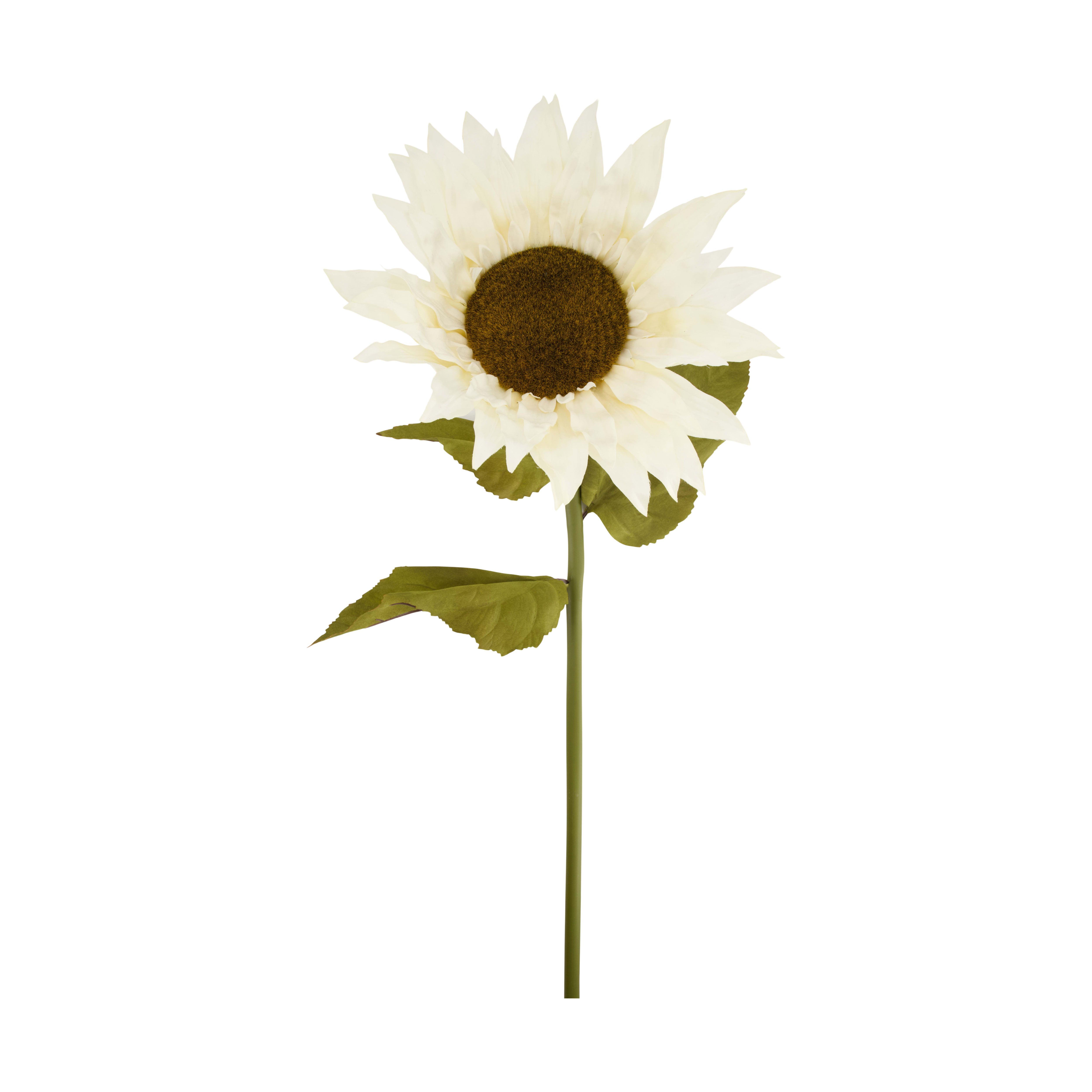 Decofinder Kunstblumen Sonnenblume, Cremé  | Schubiger Möbel