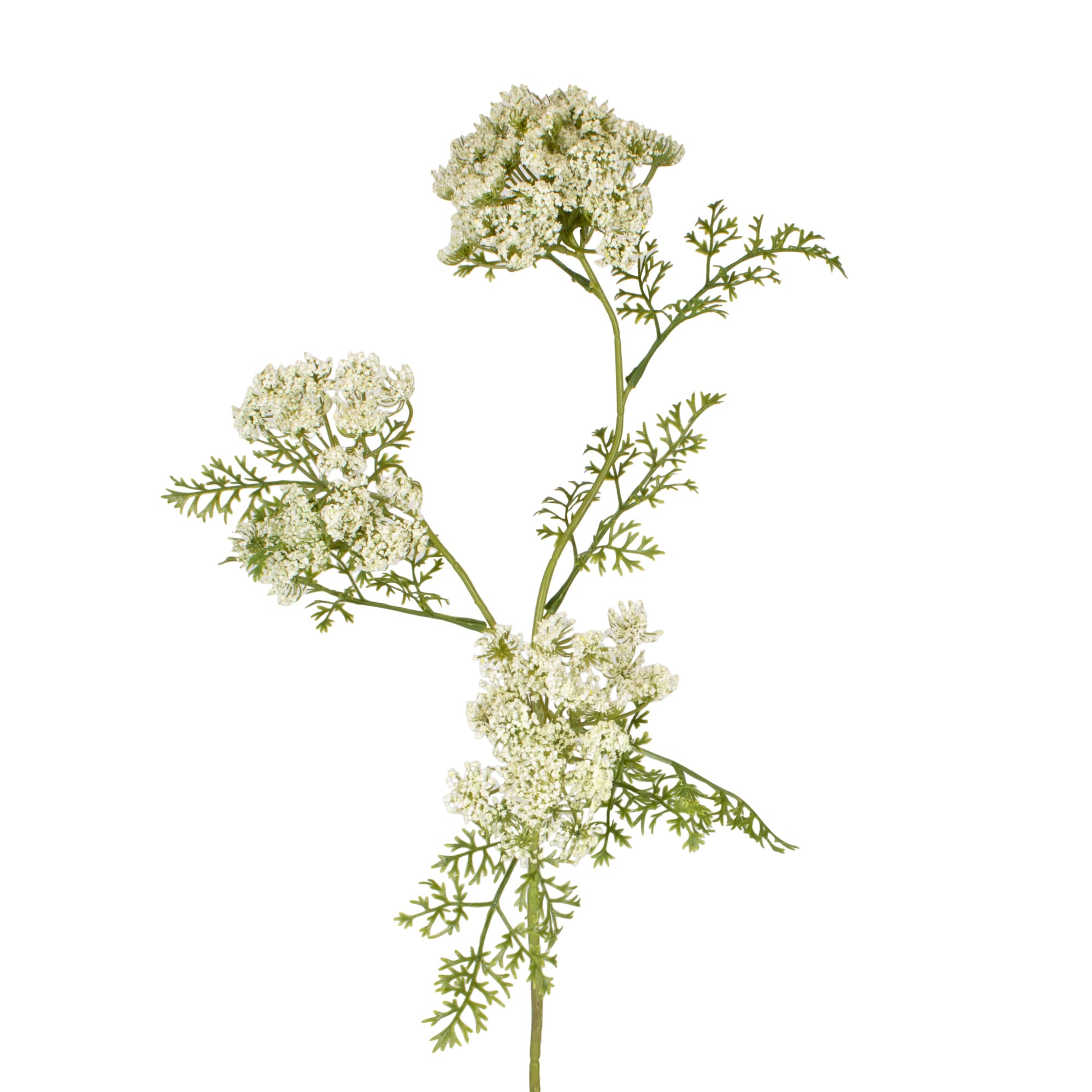 Decofinder Kunstblume Dillzweig Weiss H: 75 cm Weiss | Schubiger Möbel