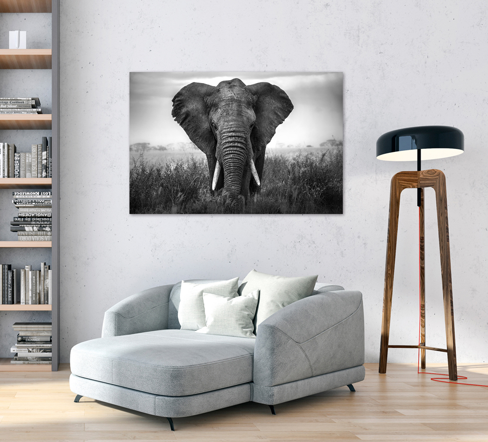 Alubild-Großer Elefant-image LAND