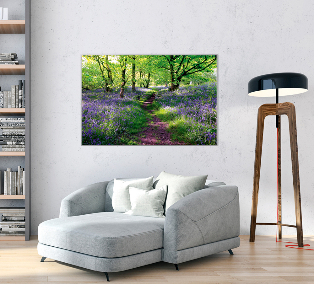 Alubild-Wald mit Lavendel 1-image LAND
