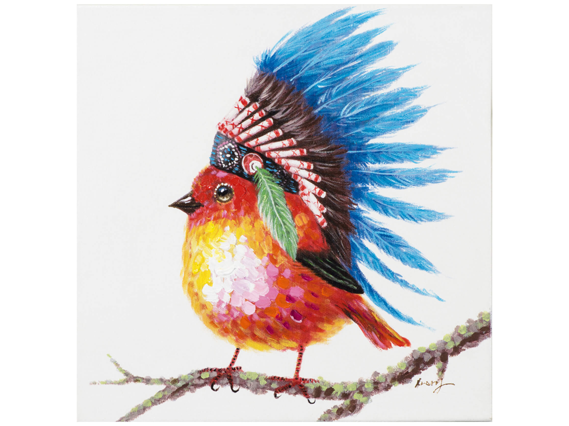 Bild Indianervogel image LAND