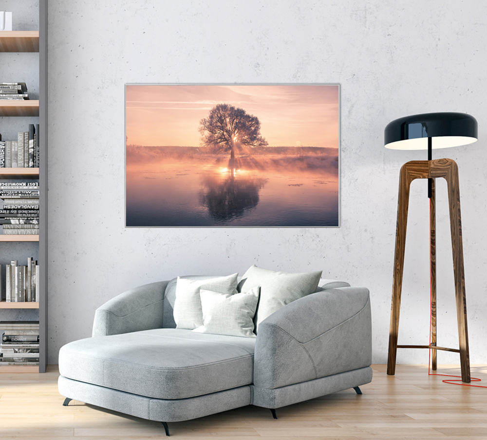 Alubild-Baum mit Spiegelung-image LAND