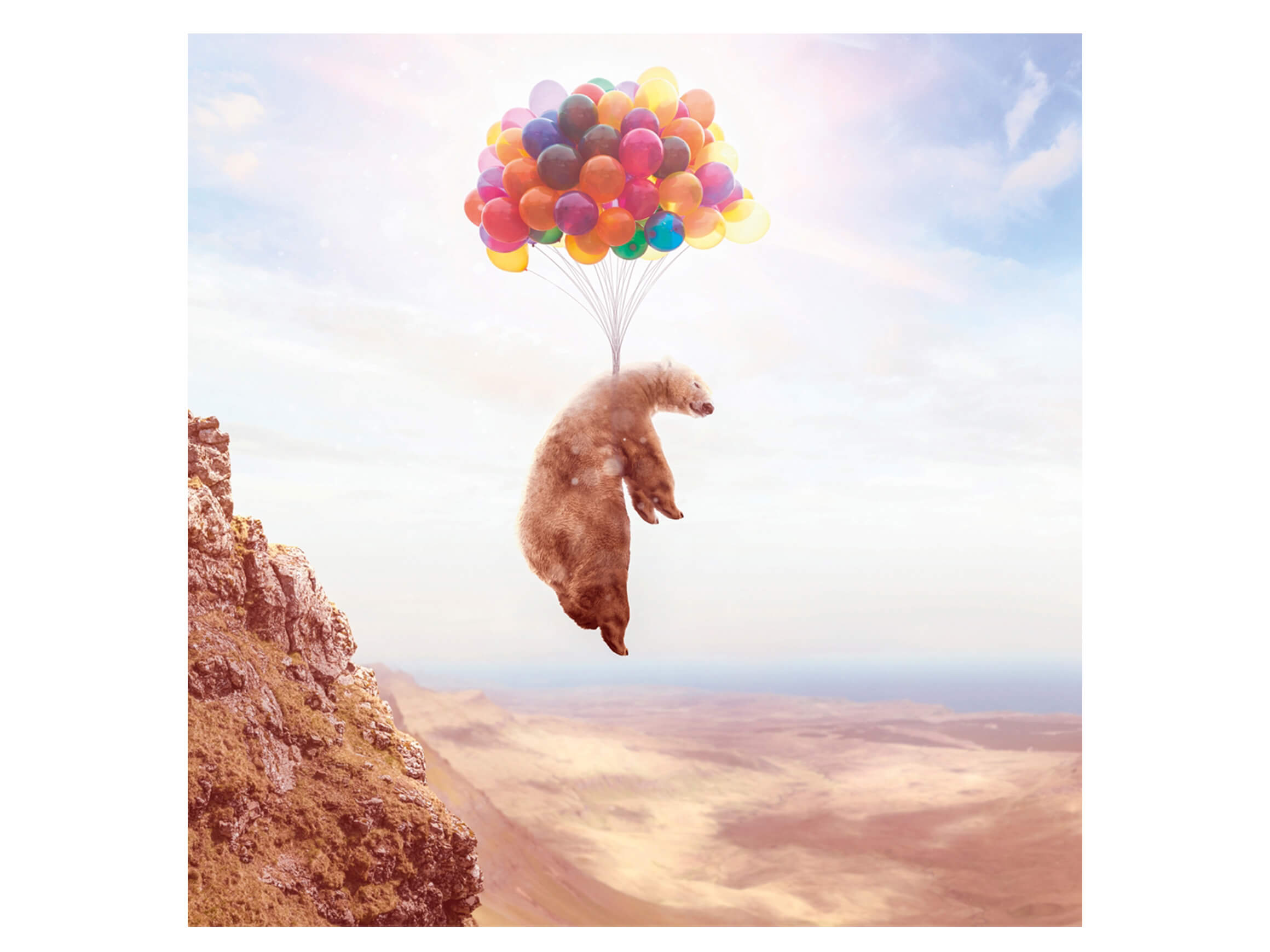 Digitaldruck auf Acrylglas Fliegender Bär an Luftballons image LAND / Grösse: 95 x 95 cm