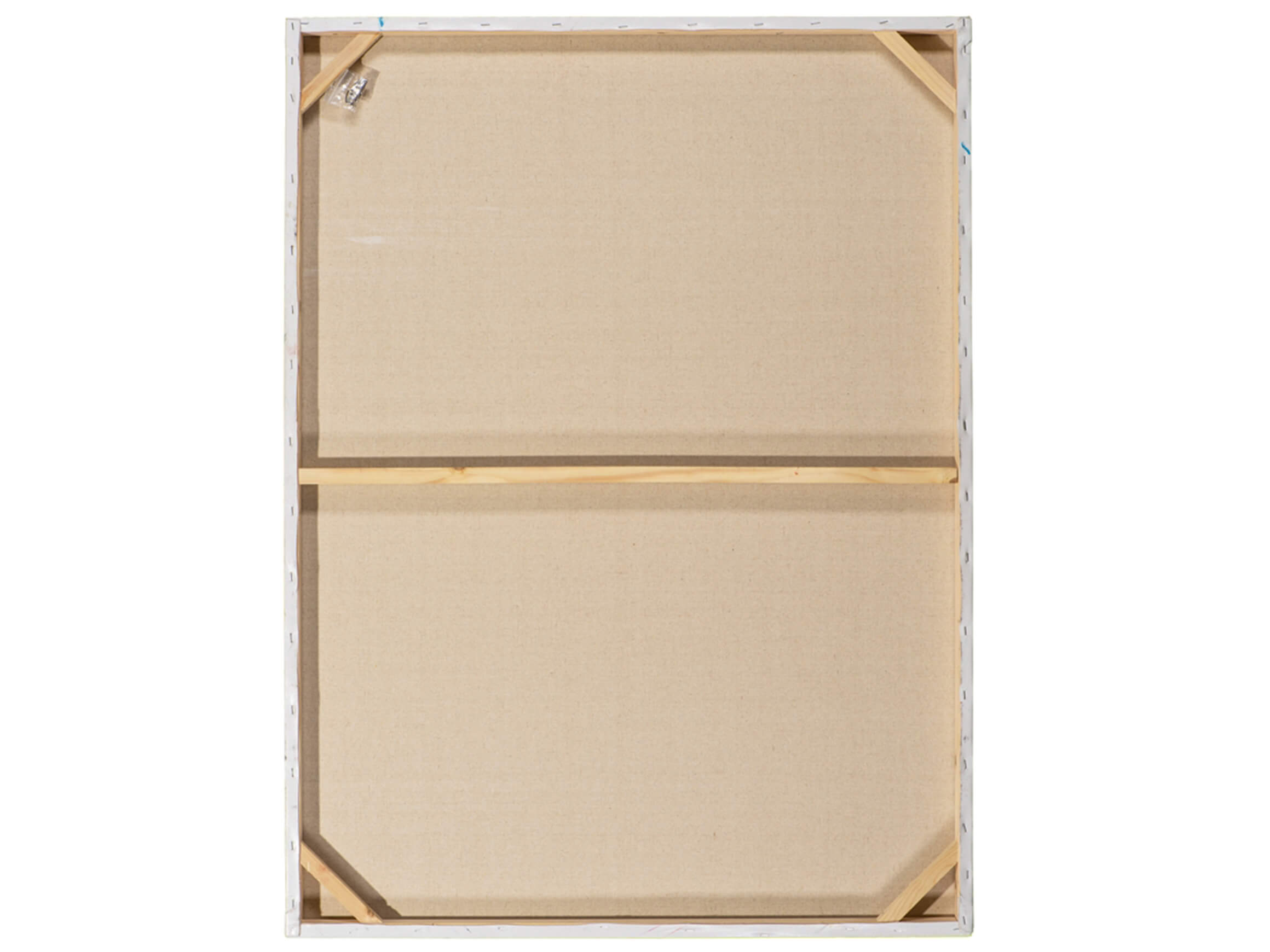 Bild Tiere im Dschungel image LAND