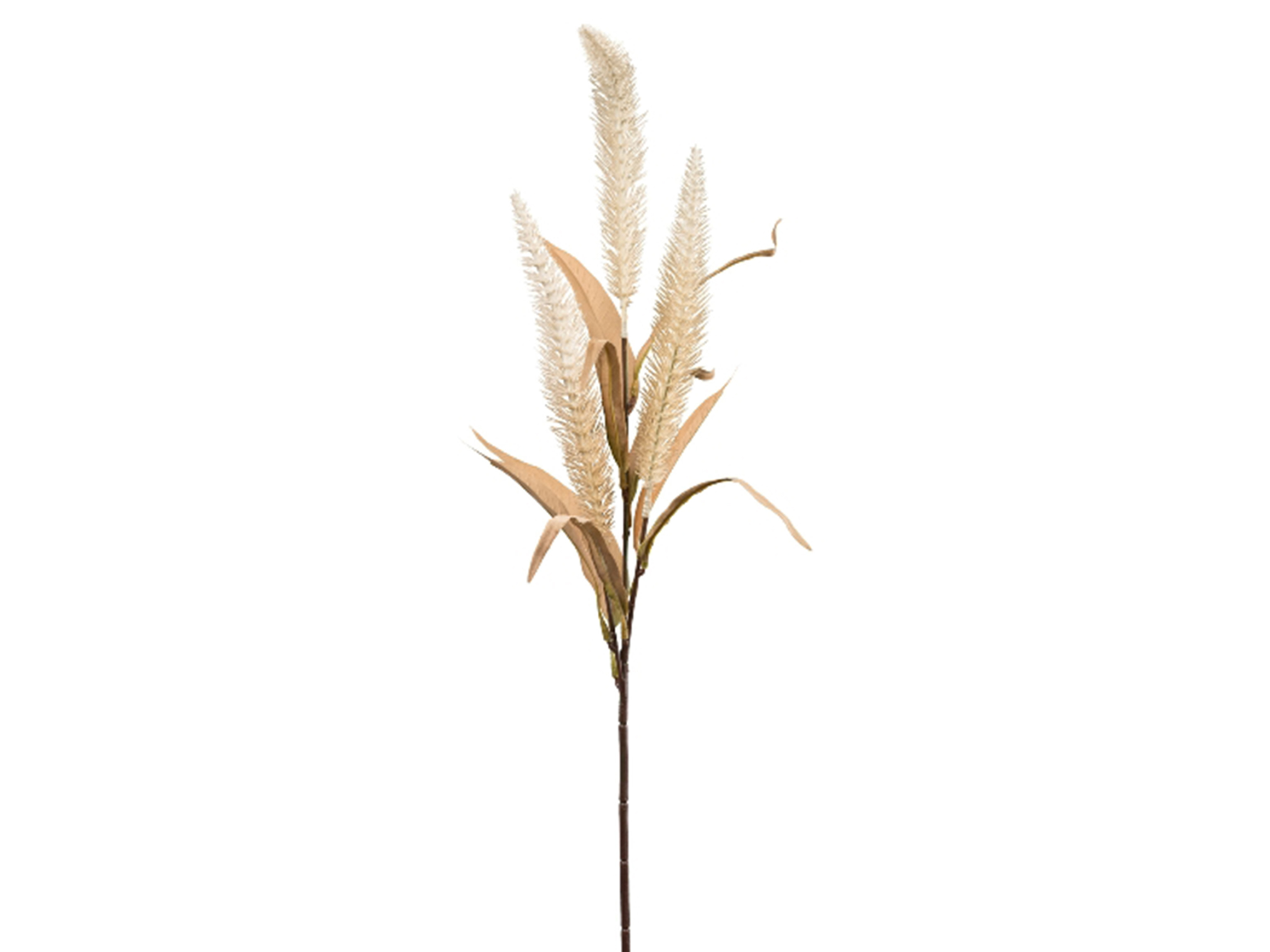 Gasper Kunstblume Graszweig Creme H: 70 cm  | Schubiger Möbel