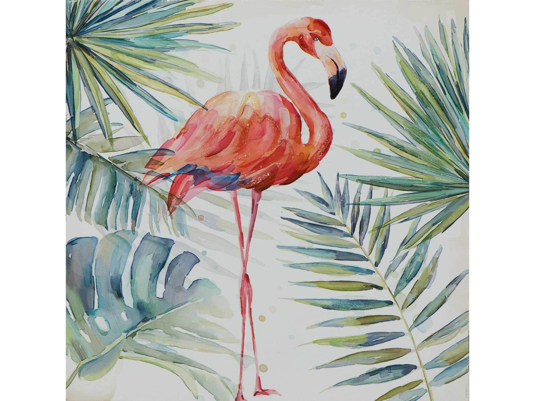 Bild Ein Flamingo