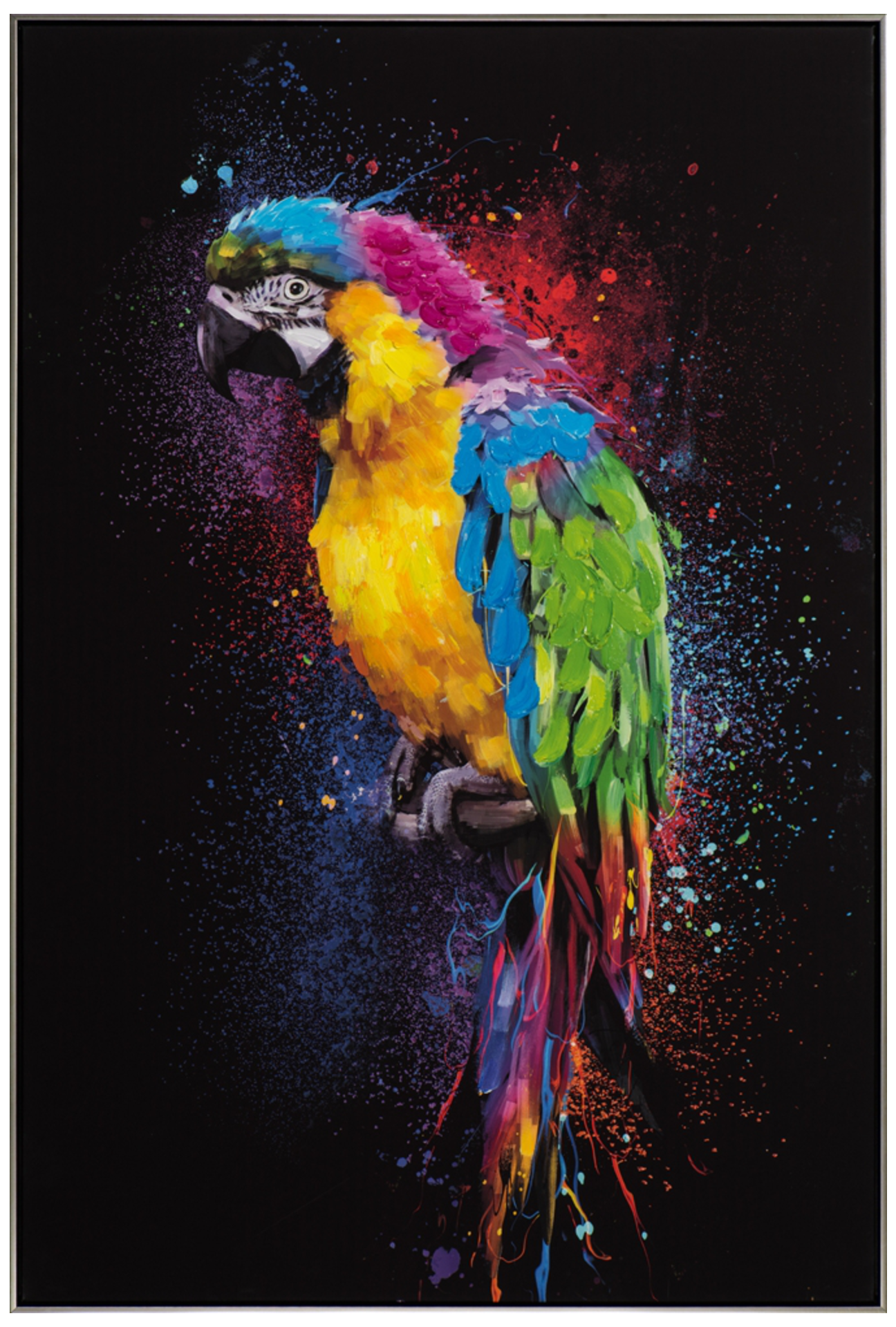 Bild Farbenprächtiger Papagei image LAND / Farbe: Mehrfarbig Schwarz