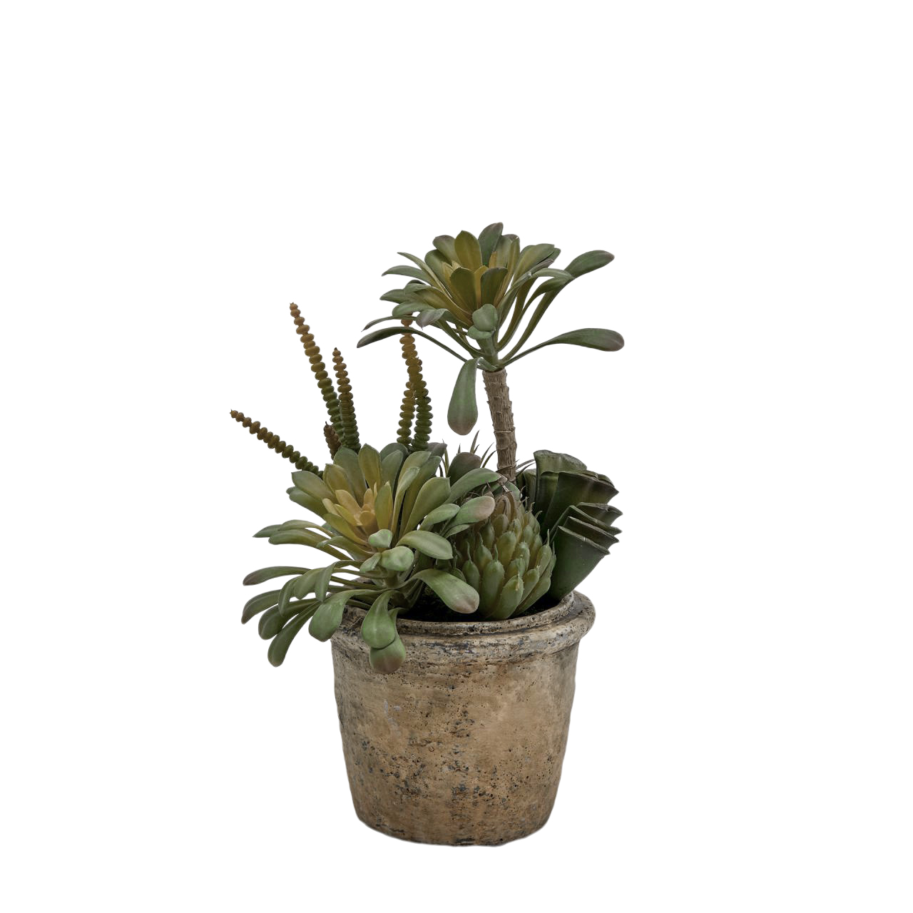 Kunstpflanze Succulenten Mix H: 25 cm Edg