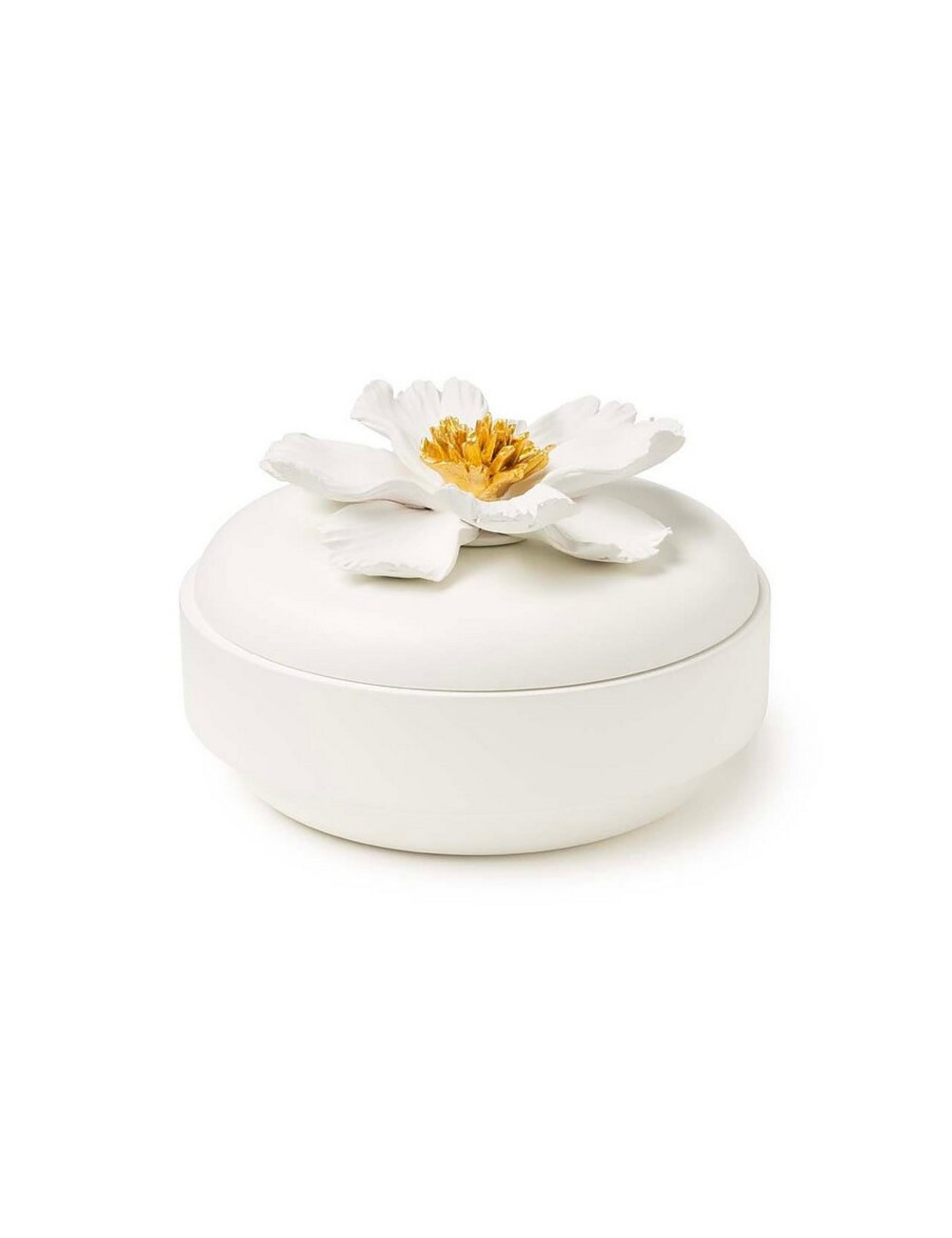 Abhika Dose Peony Weiss H: 10 cm  | Schubiger Möbel