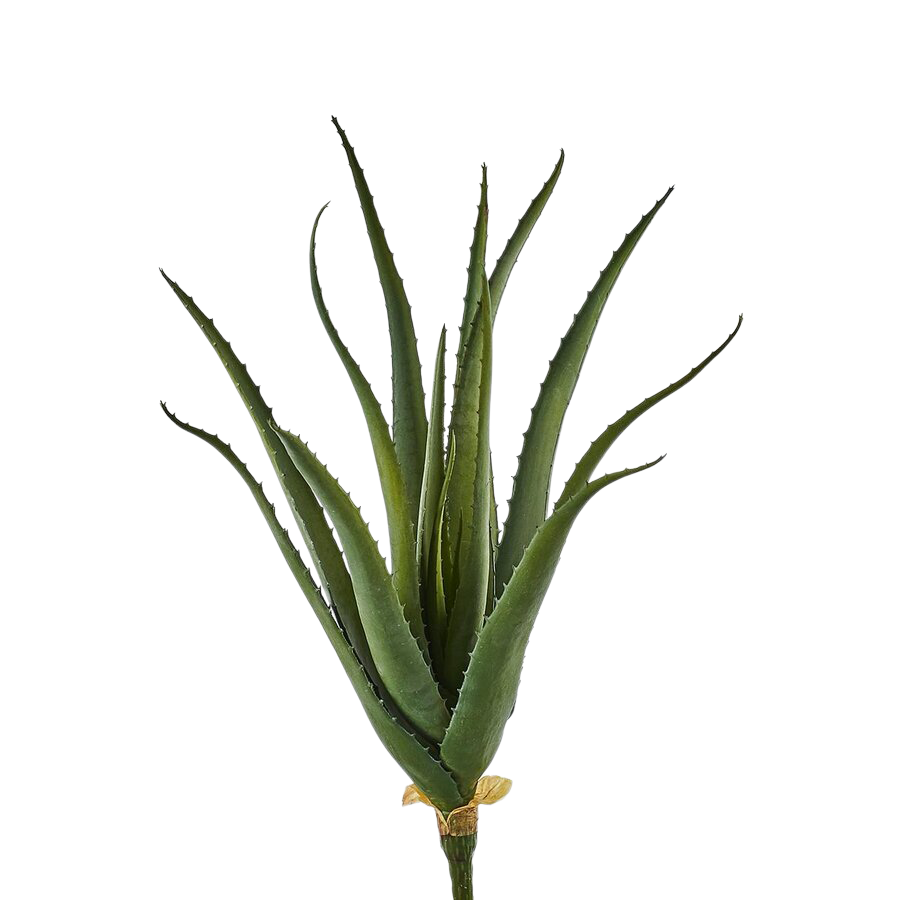 Artificial plant Aloe H: 50 cm Edg