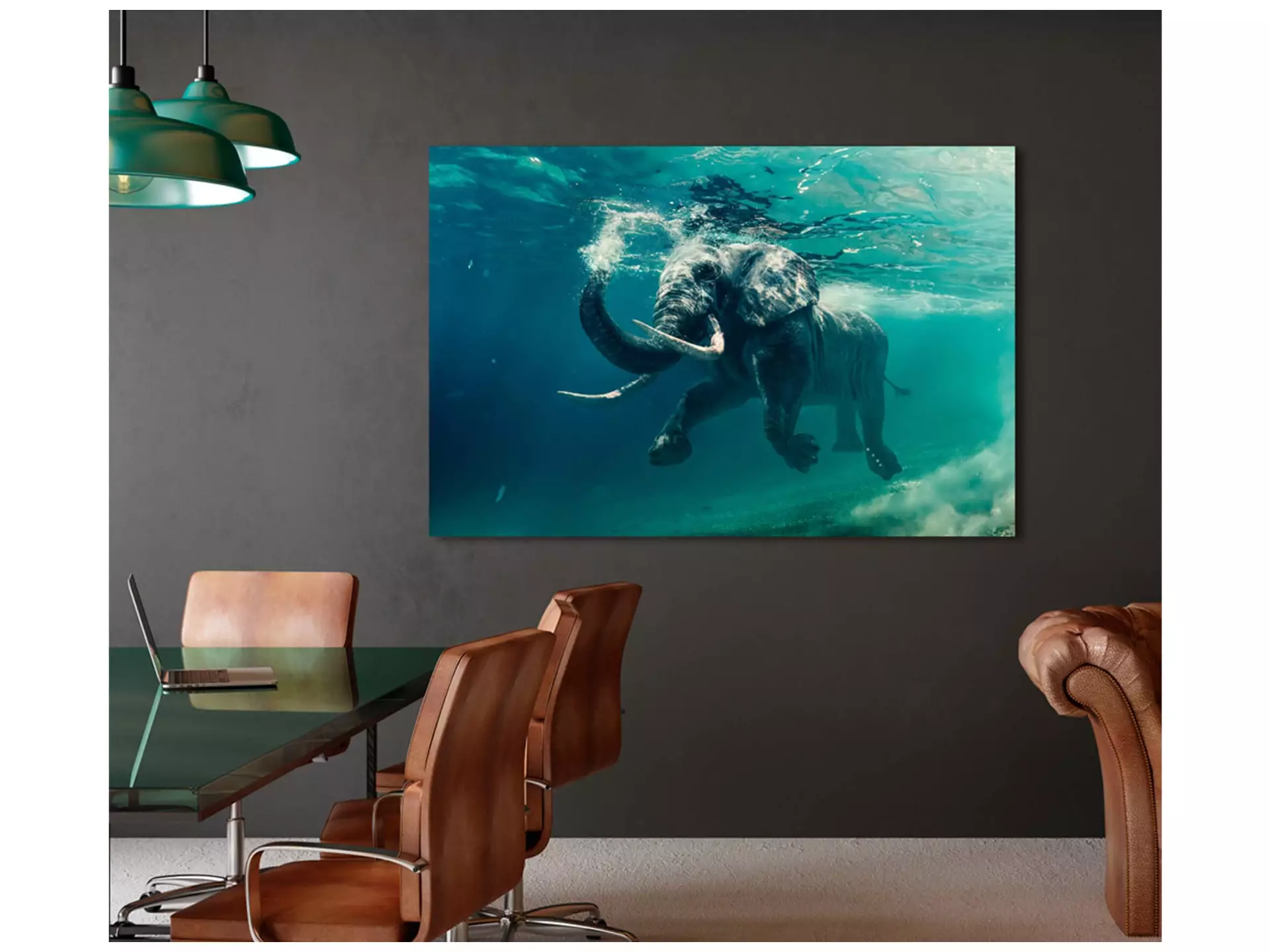 Digitaldruck auf Acrylglas Schwimmender Elefant image LAND / Grösse: 120 x 80 cm