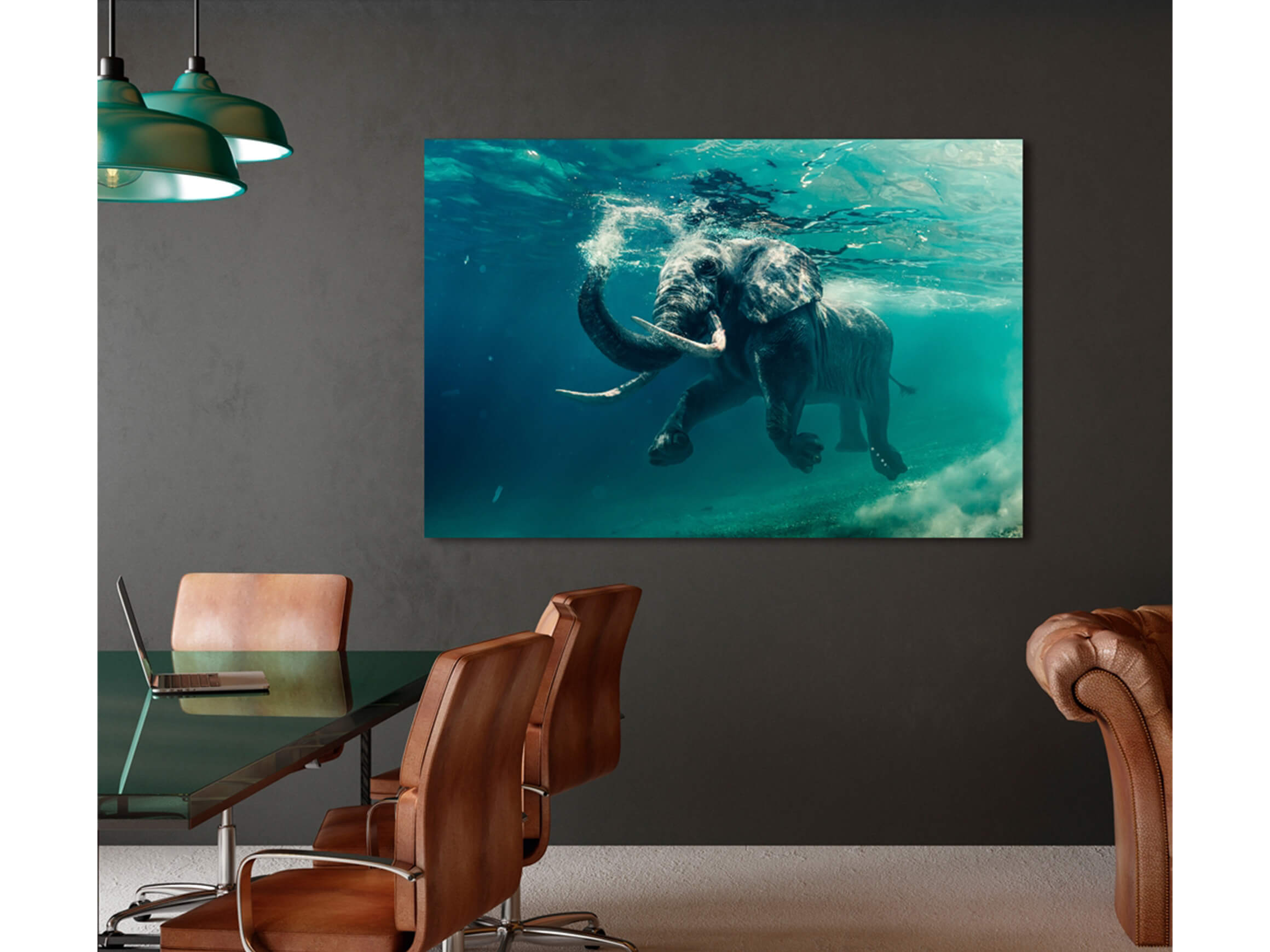 Digitaldruck auf Acrylglas Schwimmender Elefant image LAND / Grösse: 120 x 80 cm
