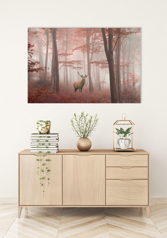 Alubild-Hirsch im Herbstwald-image LAND