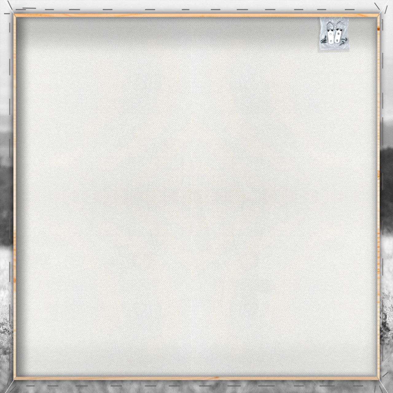 Canvas-Elefant in Der Steppe-image LAND