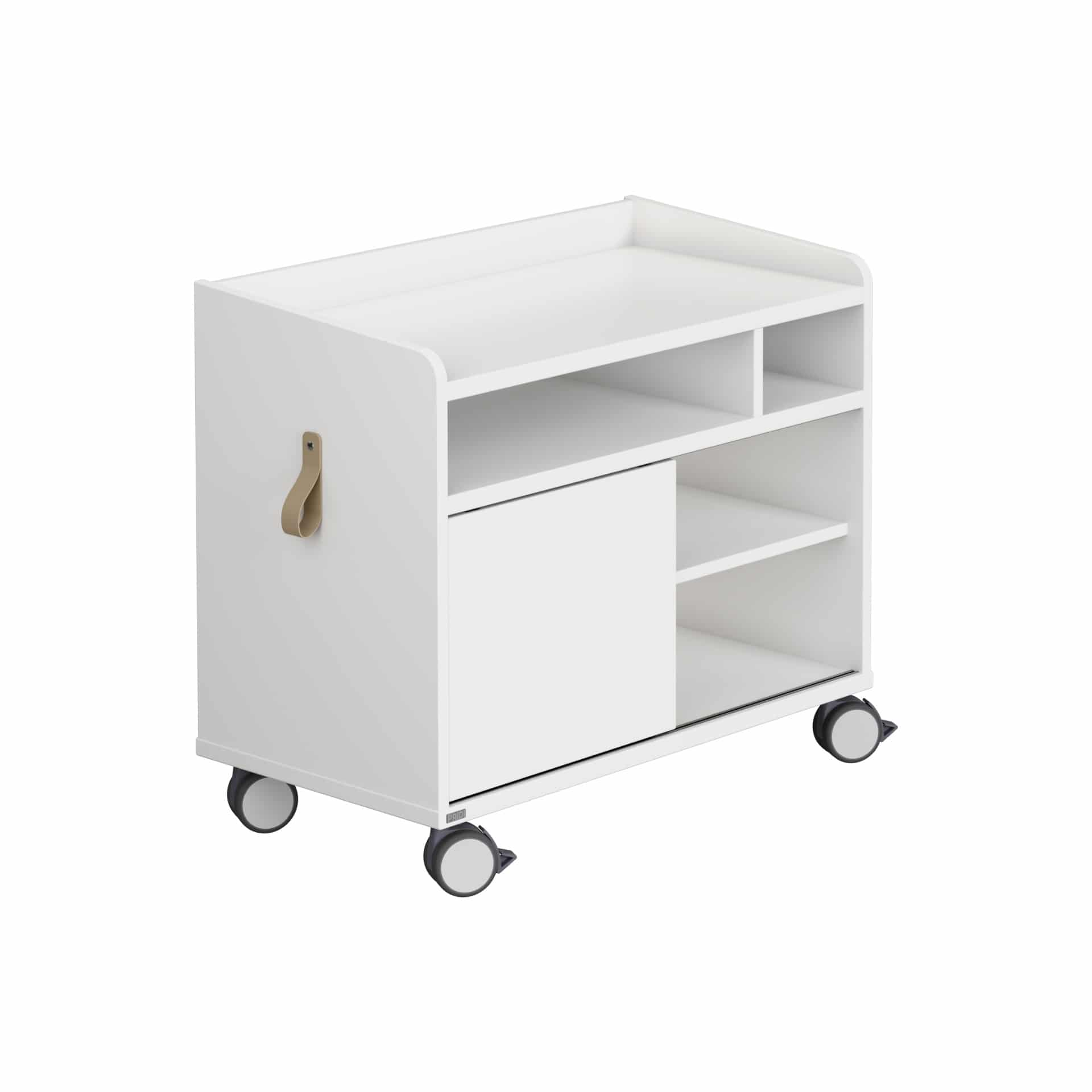 Rollcaddy-e-Lion-Paidi