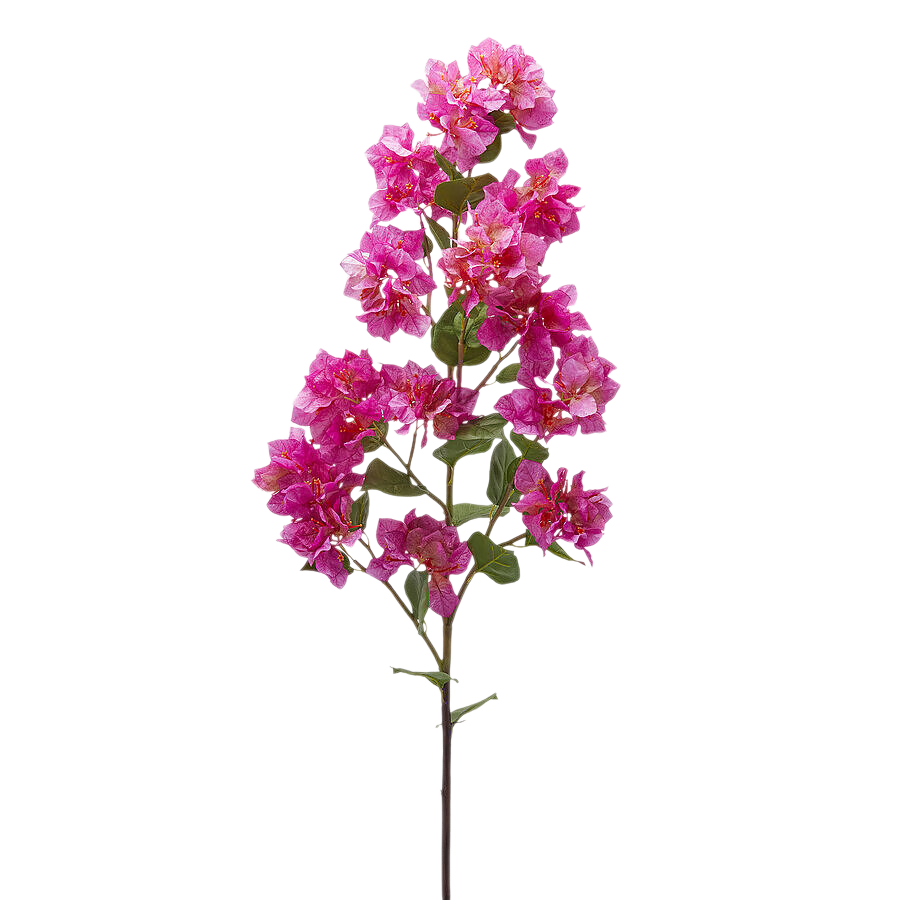 Edg Kunstblume Bouganvillea Pink H: 122 cm Rosa | Schubiger Möbel