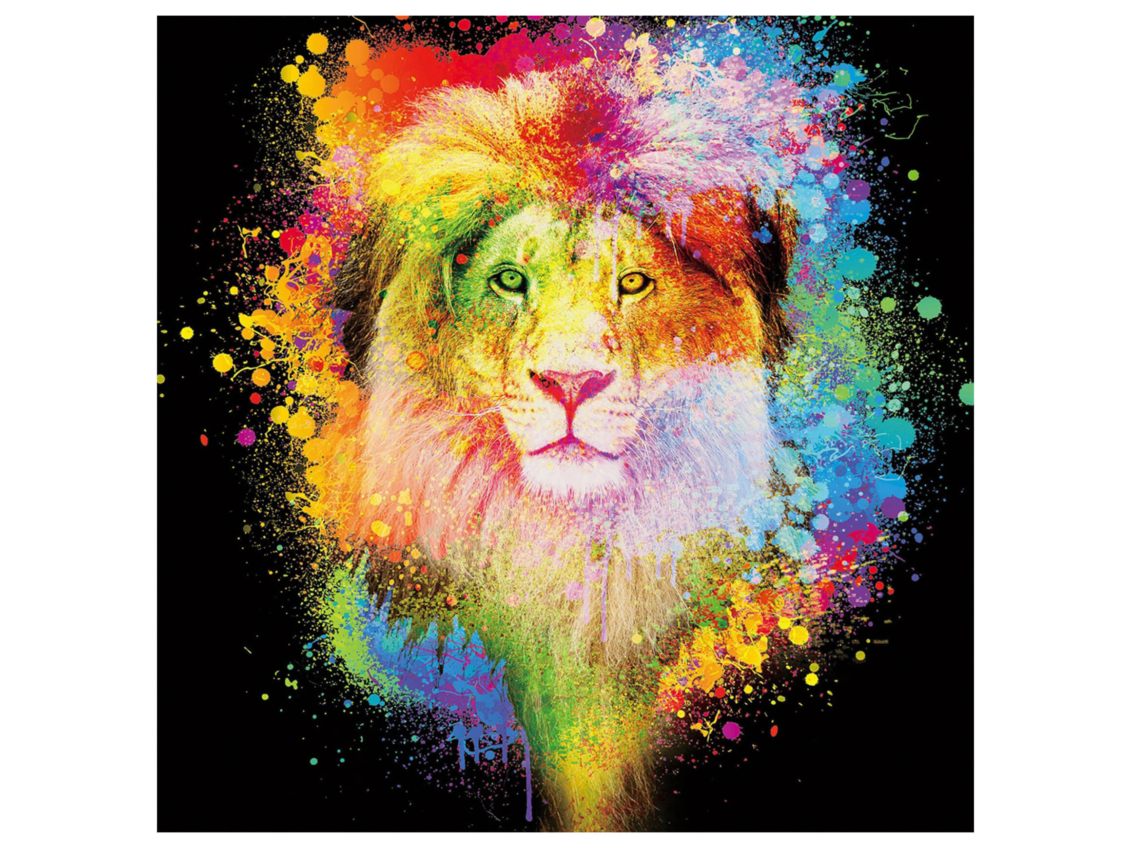 Digitaldruck auf Glas Farbkomposition König Der Löwen Auf Schwarzem image LAND