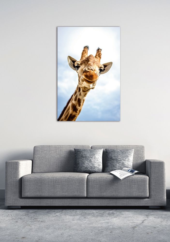 Alubild-Lächelnde Giraffe-image LAND