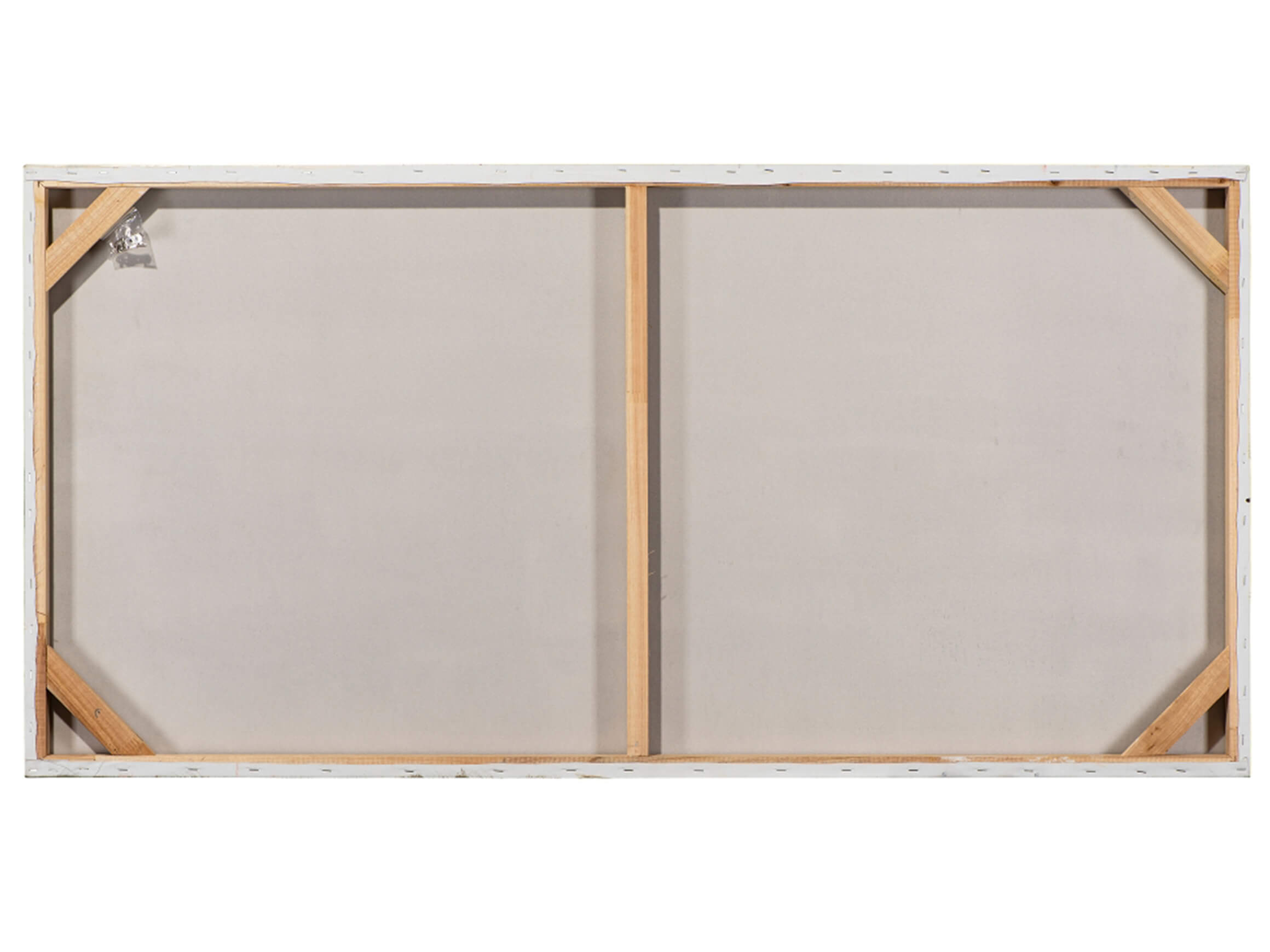 Bild Hübscher Kakadu image LAND