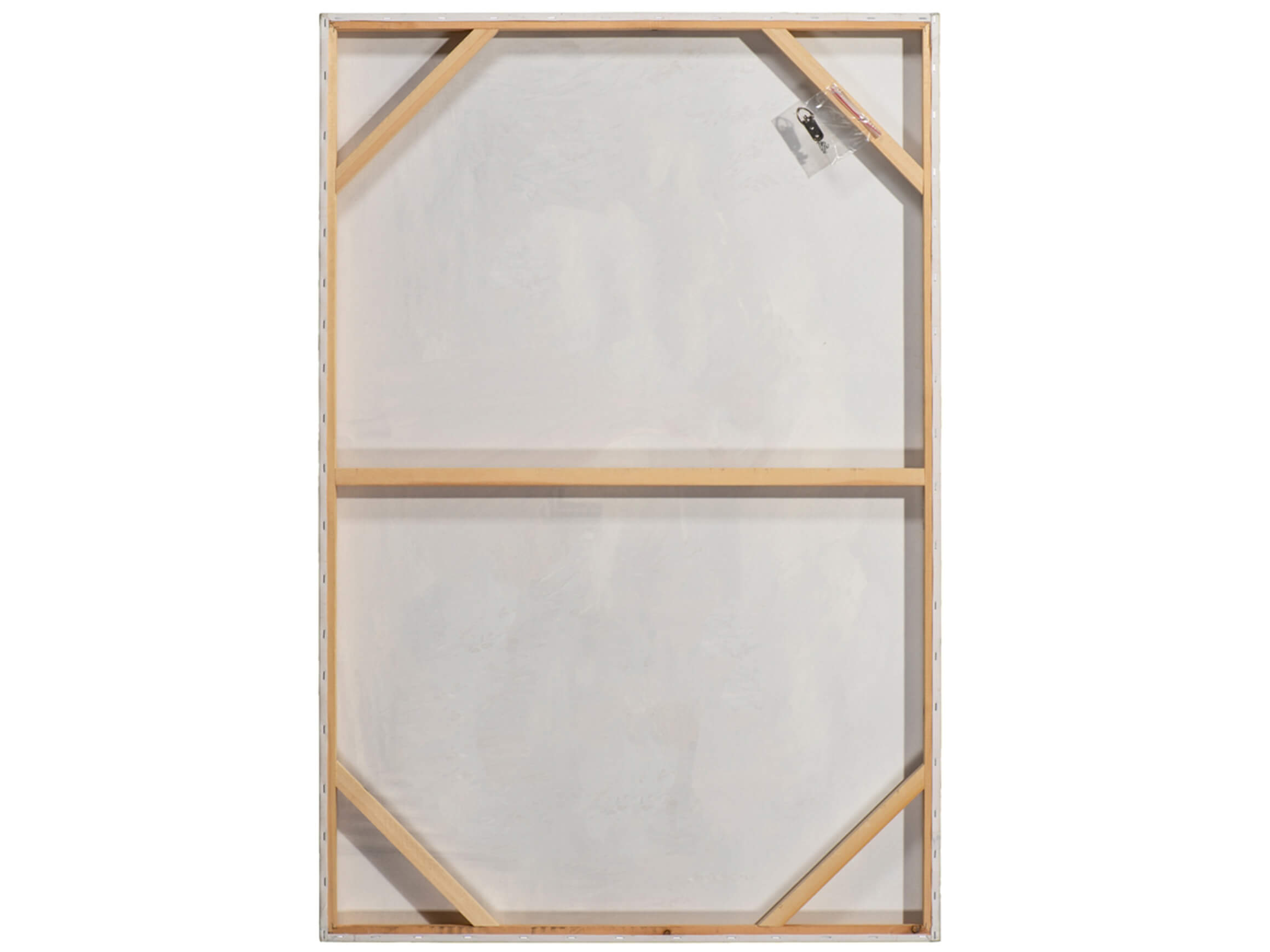 Bild Rückenansicht Geschmückte Schönheit 2 image LAND