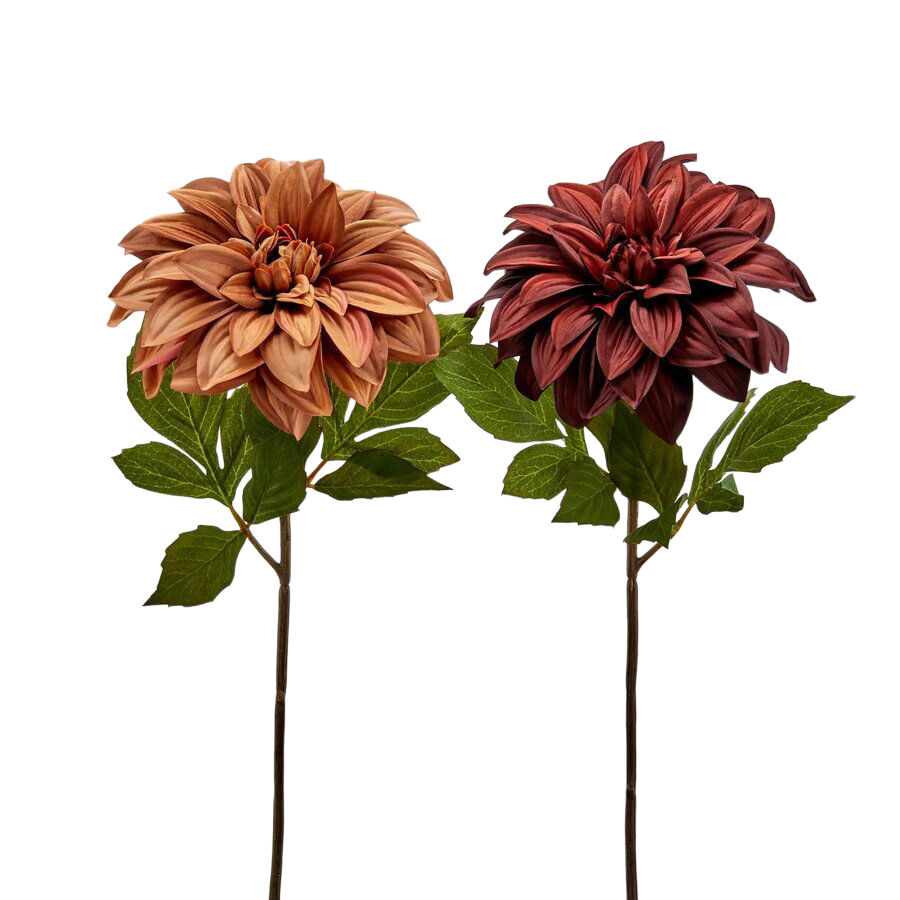 Edg Kunstblume Dahlie Braun-Rot H: 50 cm  | Schubiger Möbel