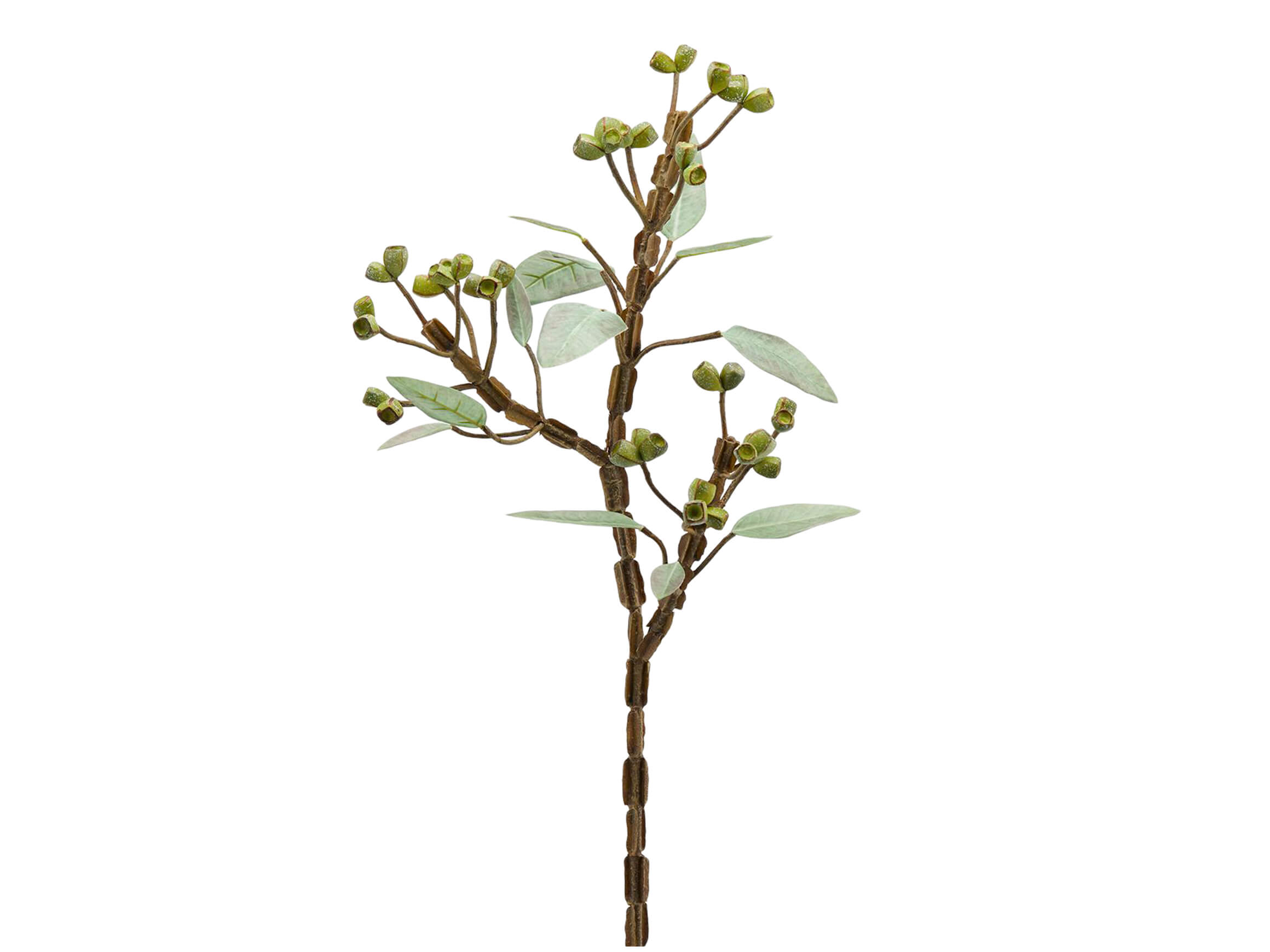 Kunstblume Eucalypthus Grün H: 80 cm Edg