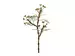Kunstblume Eucalypthus Grün H: 80 cm Edg