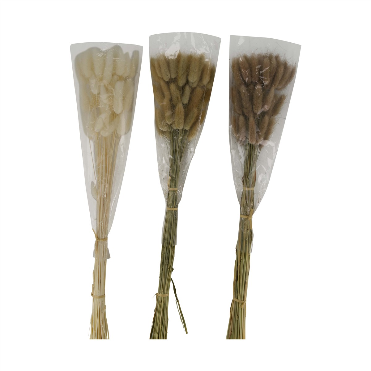 Kunstblume Lagurus Natur Assortiert H: 60 cm Decofinder