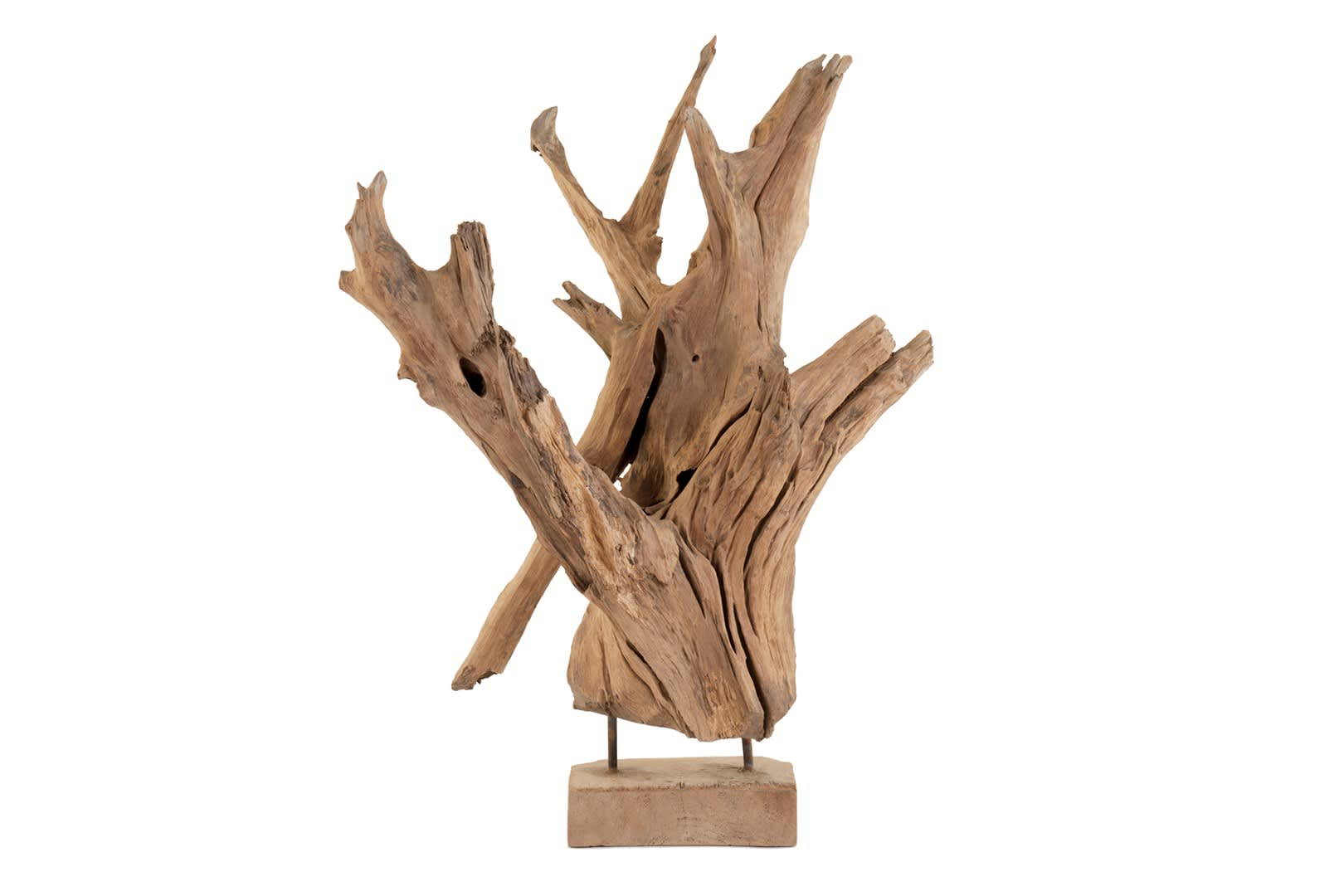 Decofinder Kunstpflanze Wurzelholz Teak  | Schubiger Möbel