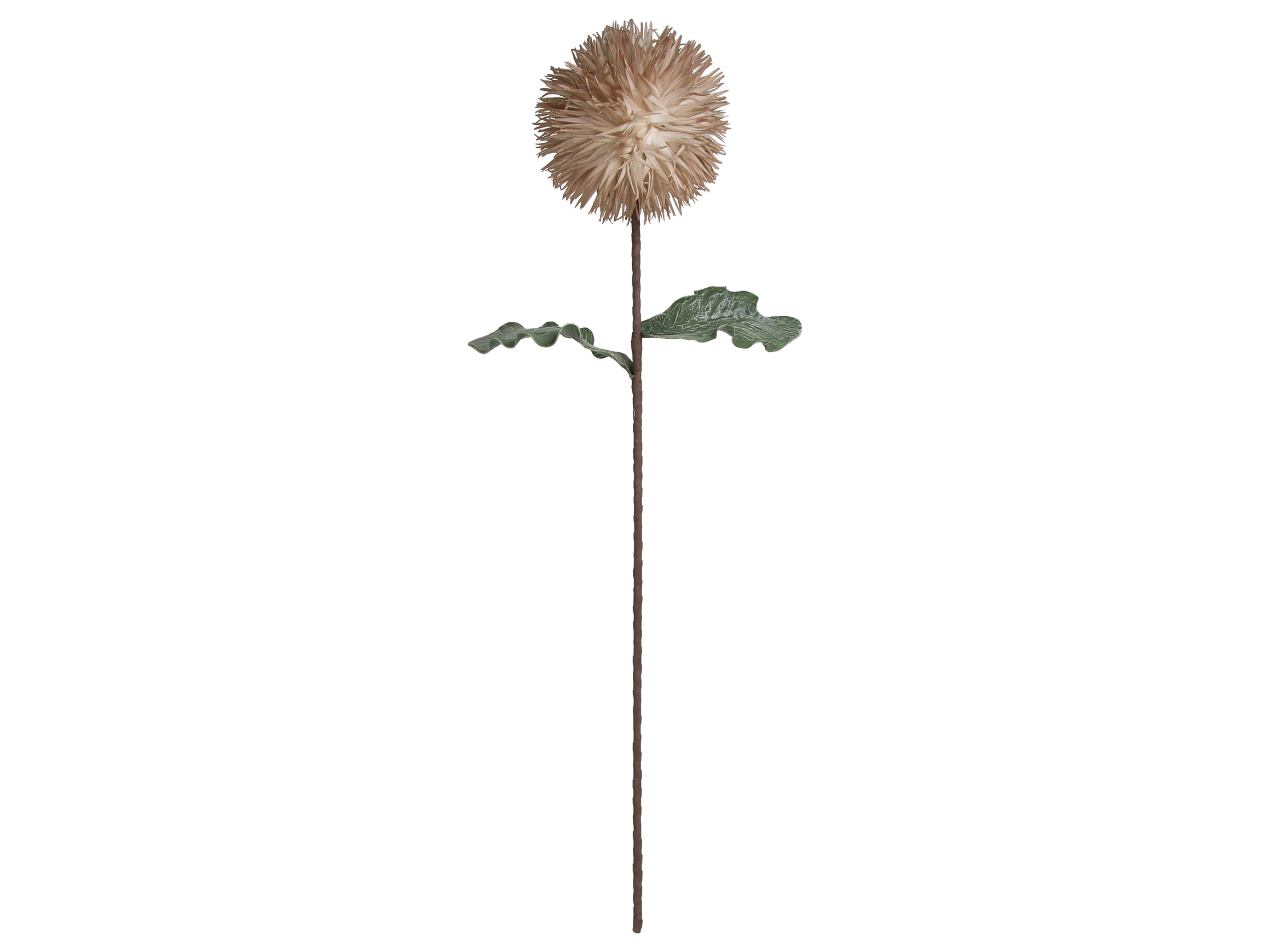 Kersten Kunstblumen Blüte Beige H: 76 cm  | Schubiger Möbel