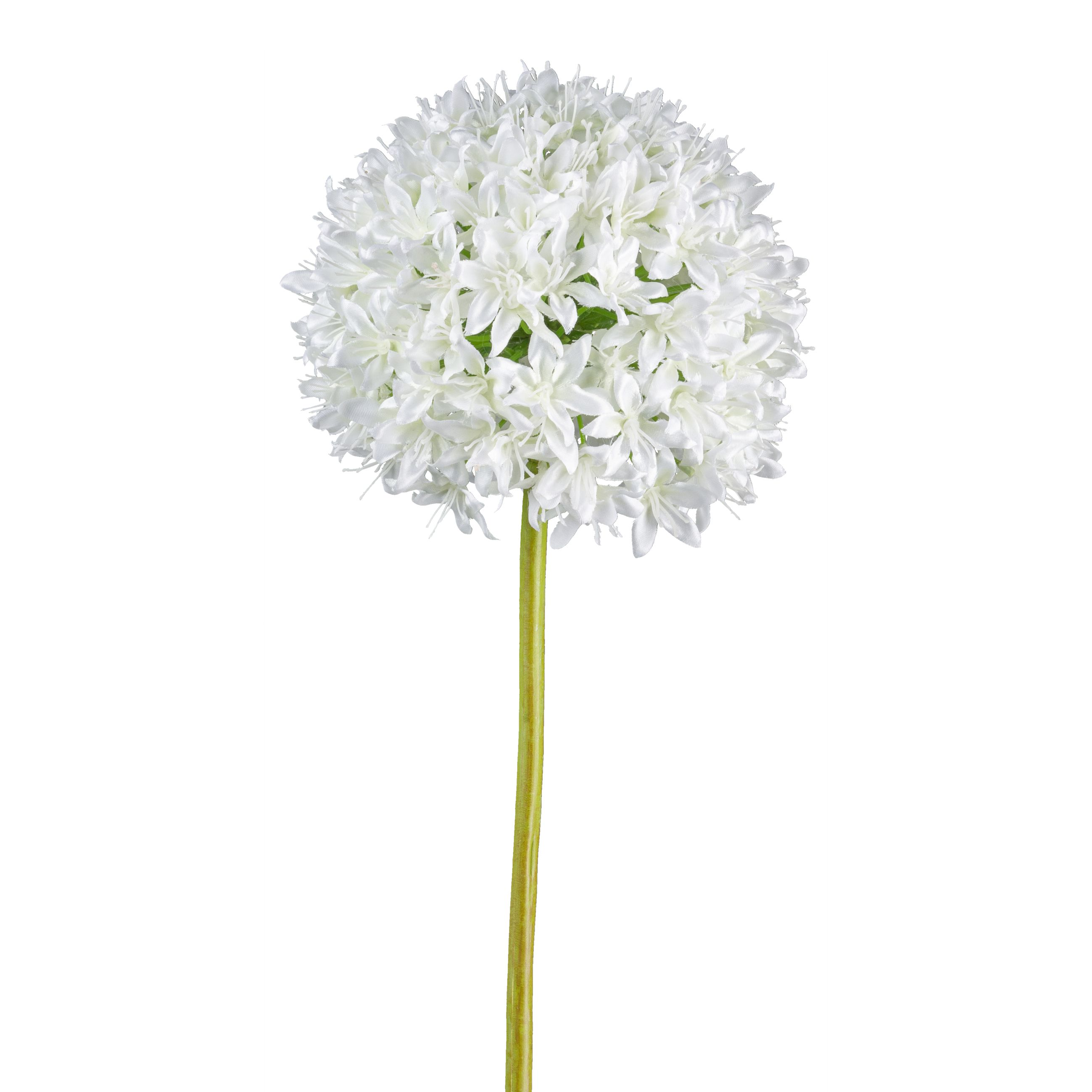 Gasper Kunstblume Allium, Weiss  | Schubiger Möbel