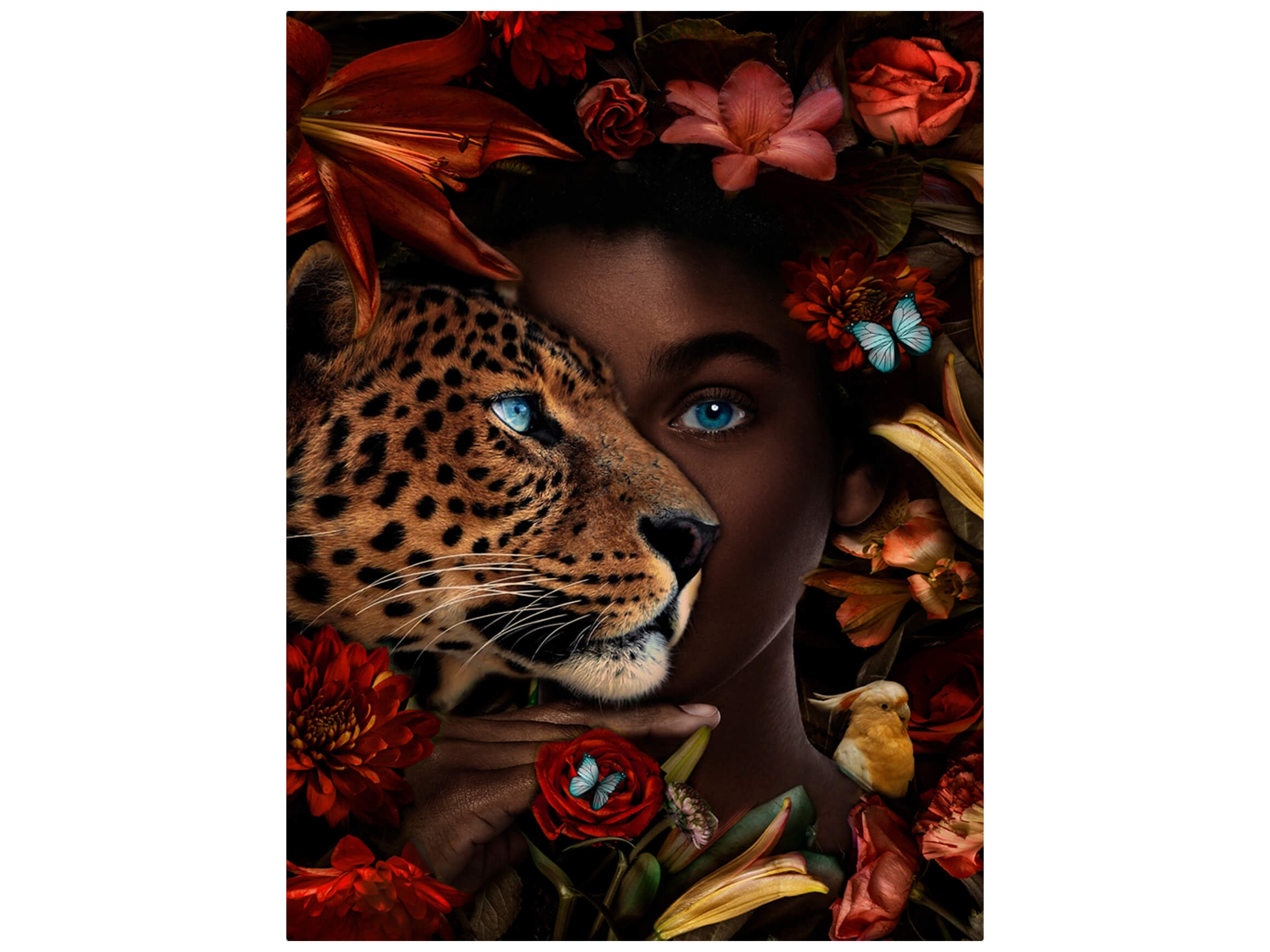 Digitaldruck auf Glas Mysteriöse Blaue Augen Einer Frau und Leopard image LAND