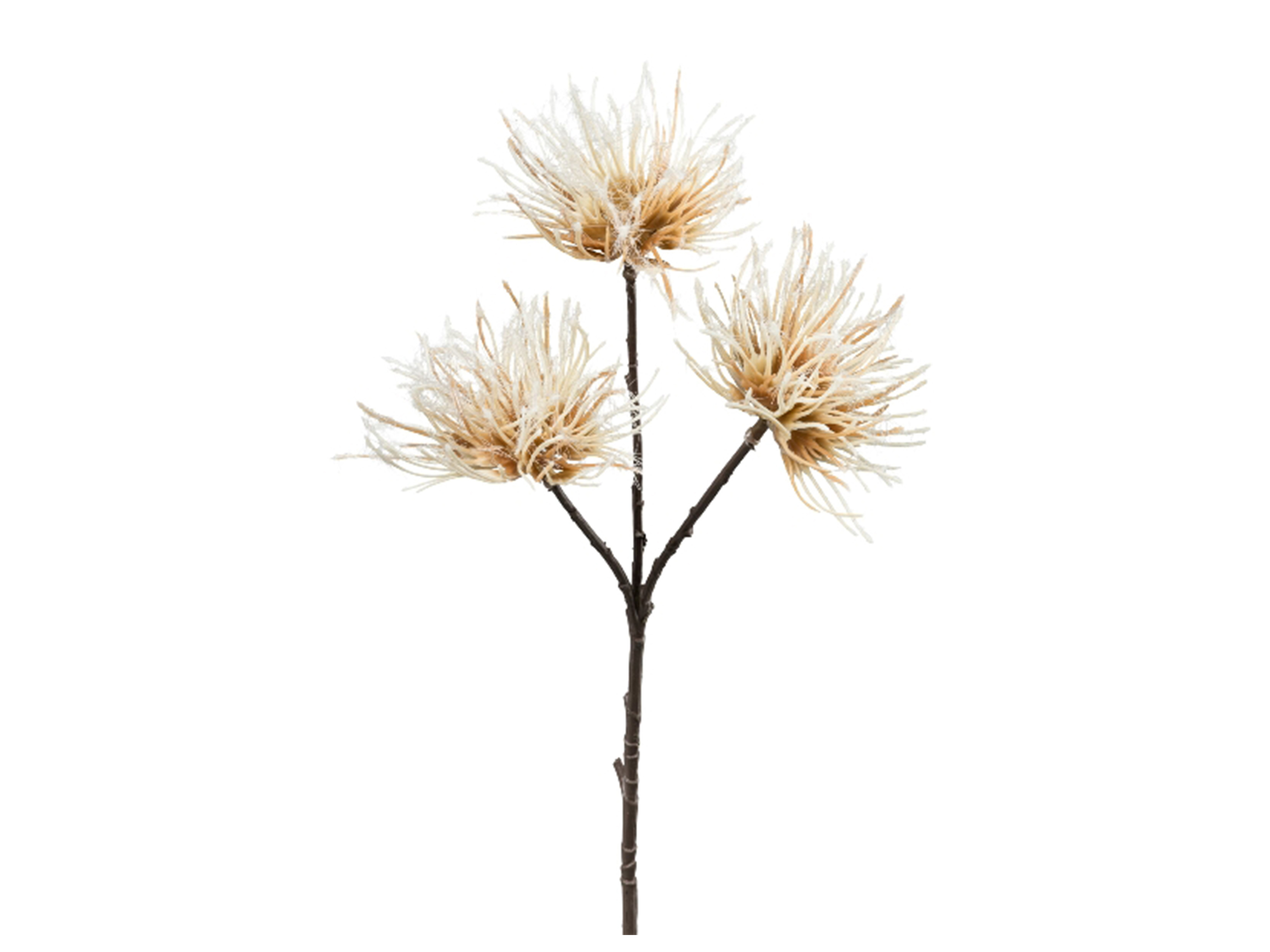 Artificial flower Urchin cream H: 37 cm Gasper