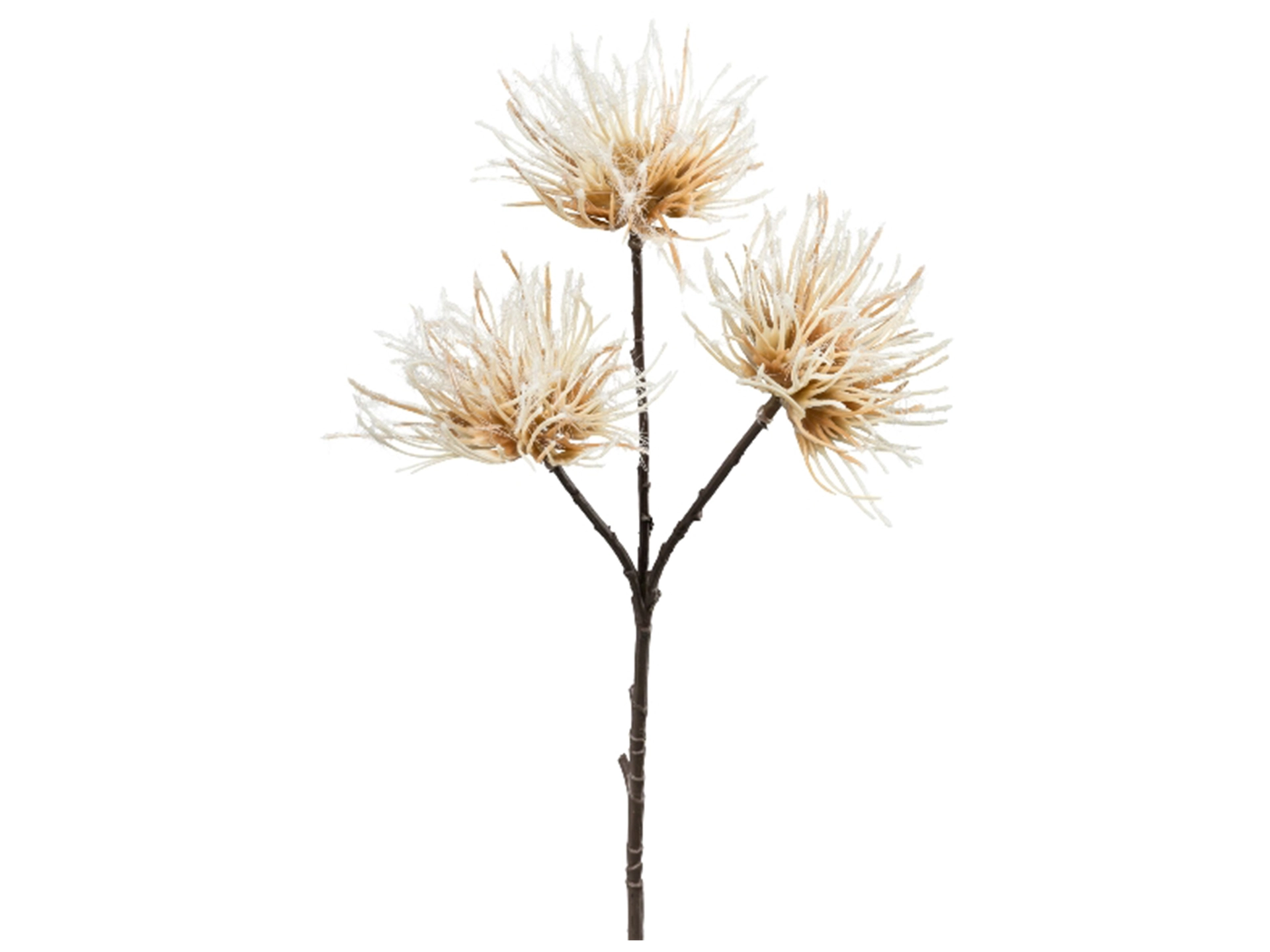 Kunstblume Urchin Creme H: 37 cm Gasper