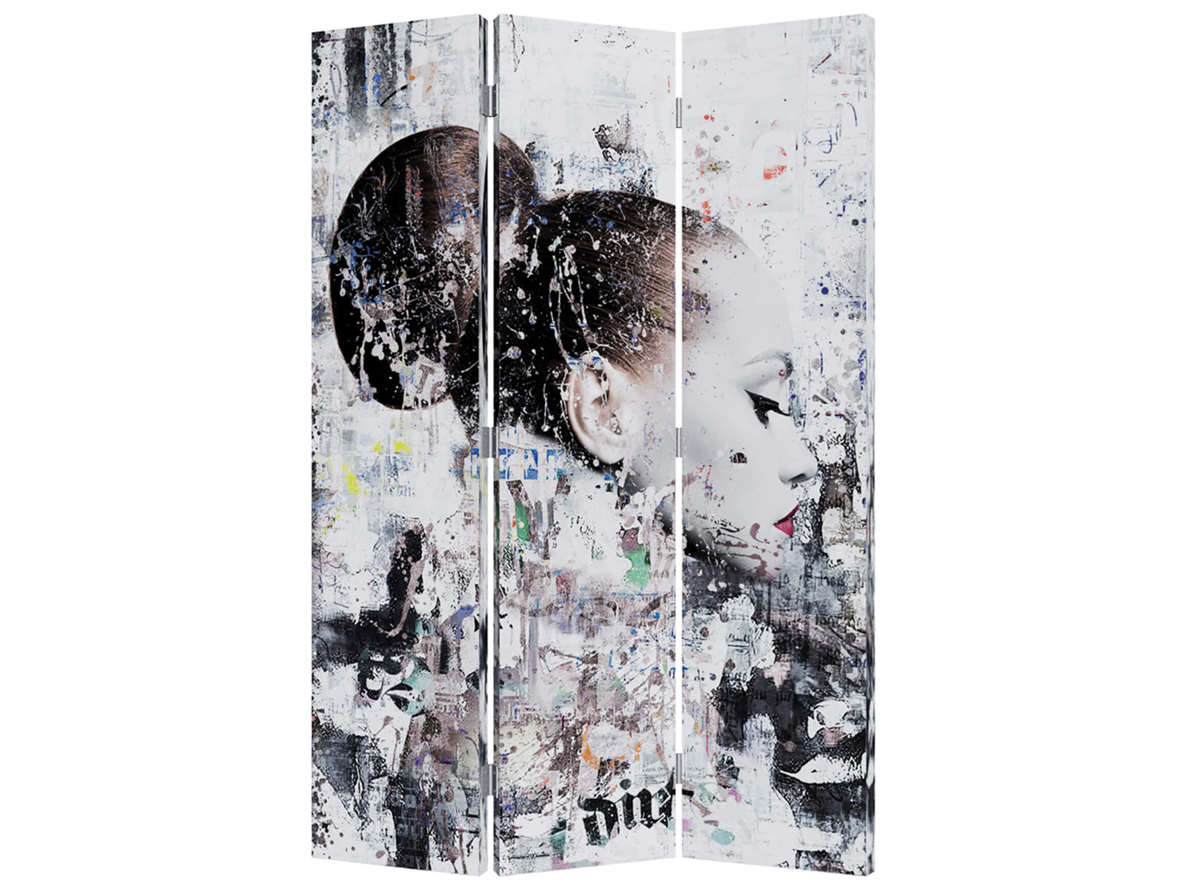 Paravent Street Art Schönheiten Wendemotiv image LAND / Grösse: 180 x 120 cm