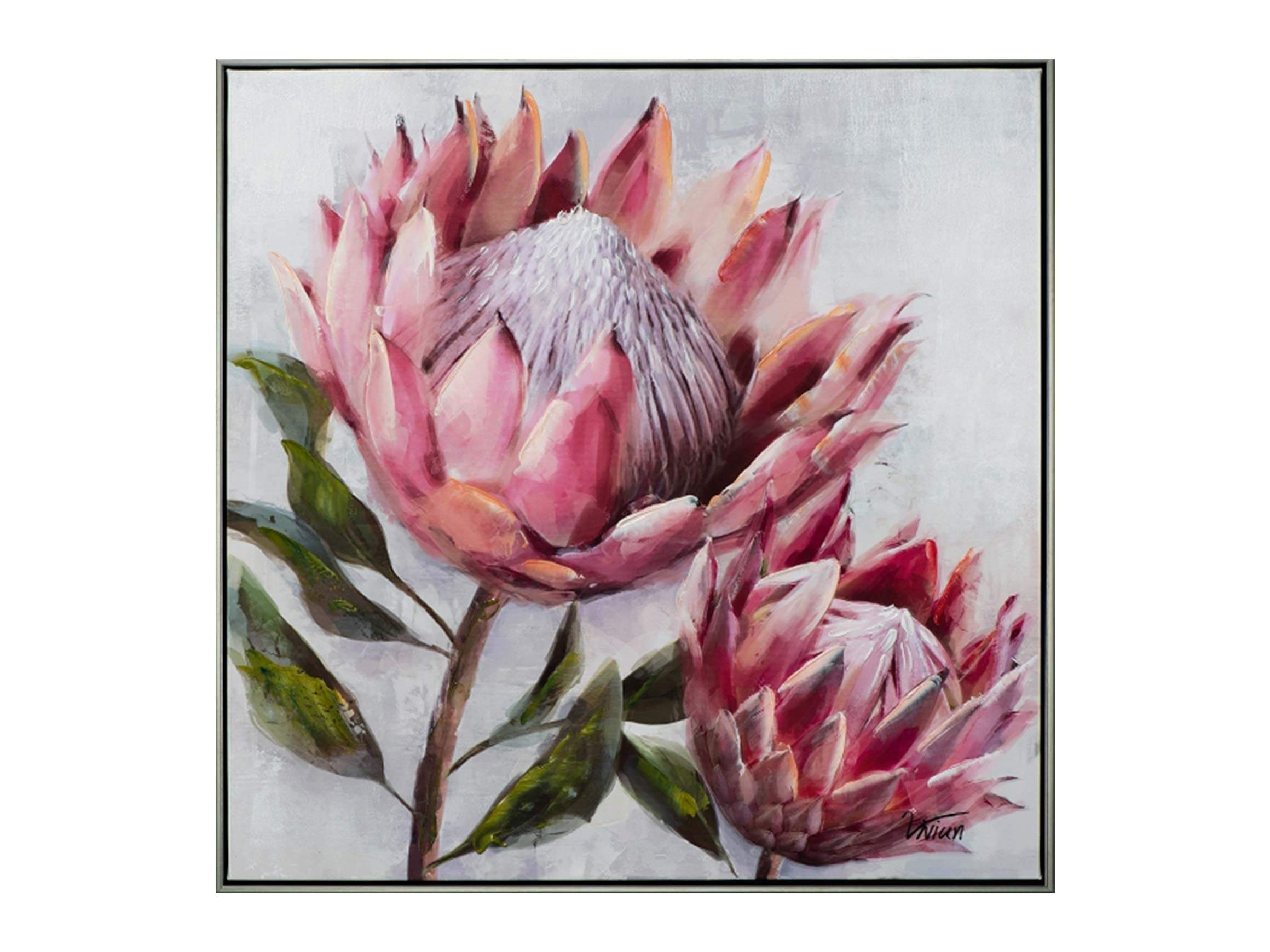 image LAND Bild mit Rahmen Hübsche Protea 2  | Schubiger Möbel