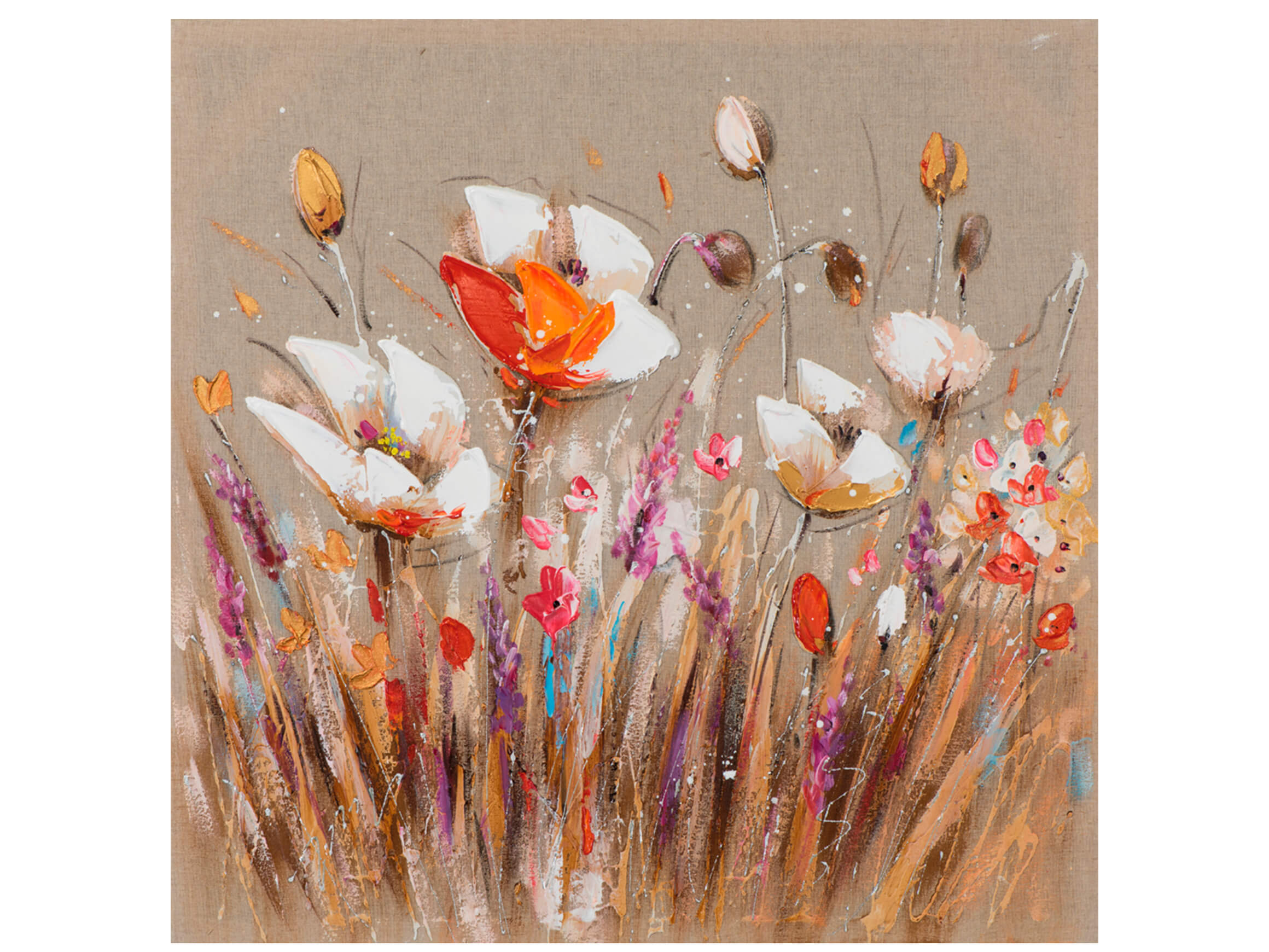 Bild Entzückende Blumen image LAND