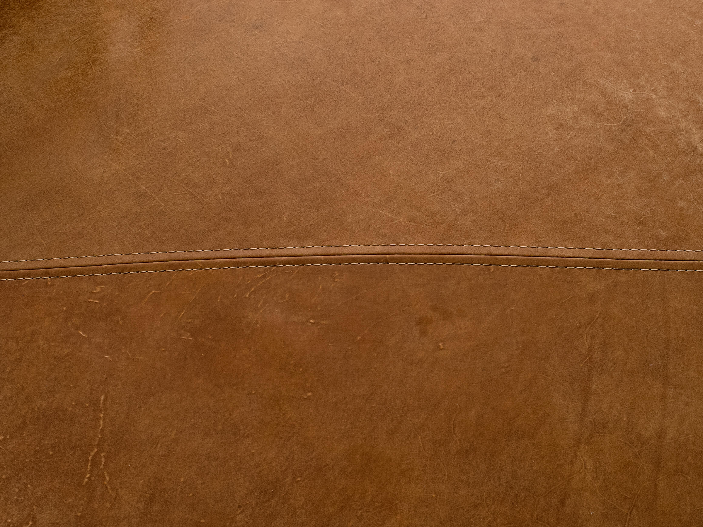 Liegesofa Valente von Gutmann