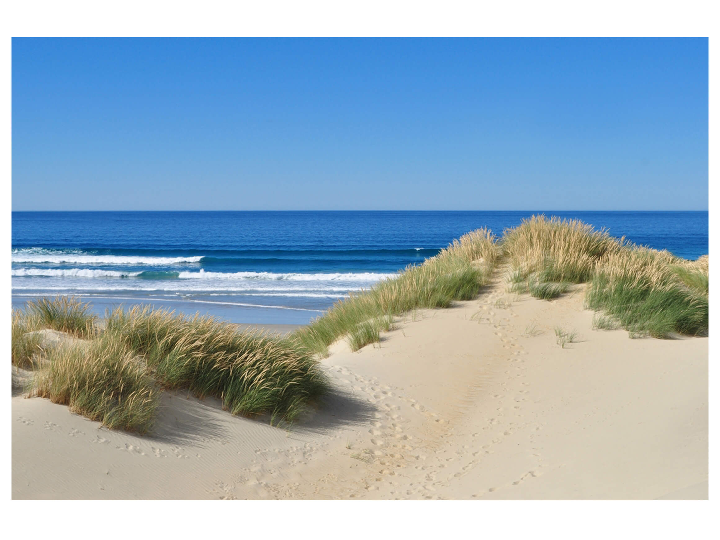 Digitaldruck auf Acrylglas Dünen am Meer 1 image LAND / Grösse: 120 x 80 cm