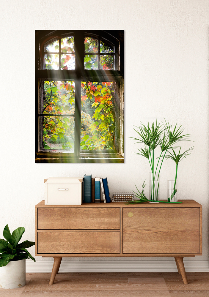 Alubild Fenster mit Laub image LAND