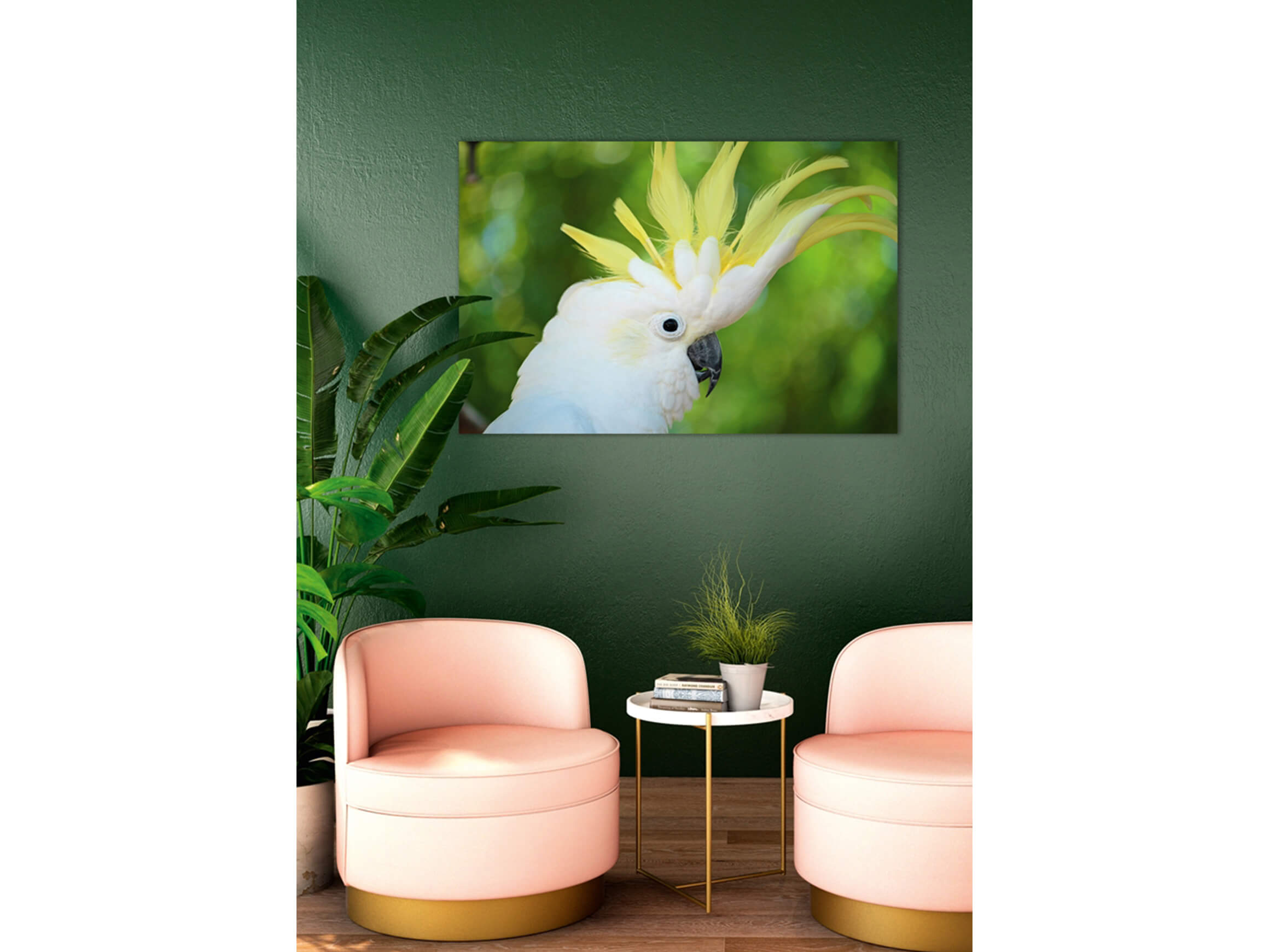 Digitaldruck auf Acrylglas Kakadu image LAND / Grösse: 120 x 80 cm