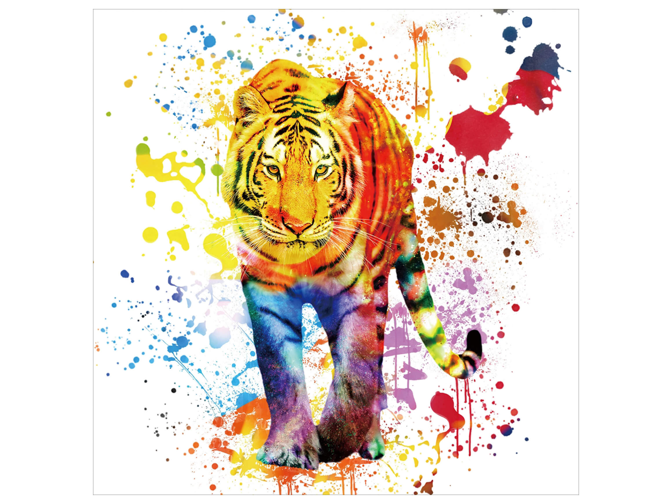 Digitaldruck auf Glas Farbkomposition Tiger Auf Weissem Hintergrund image LAND