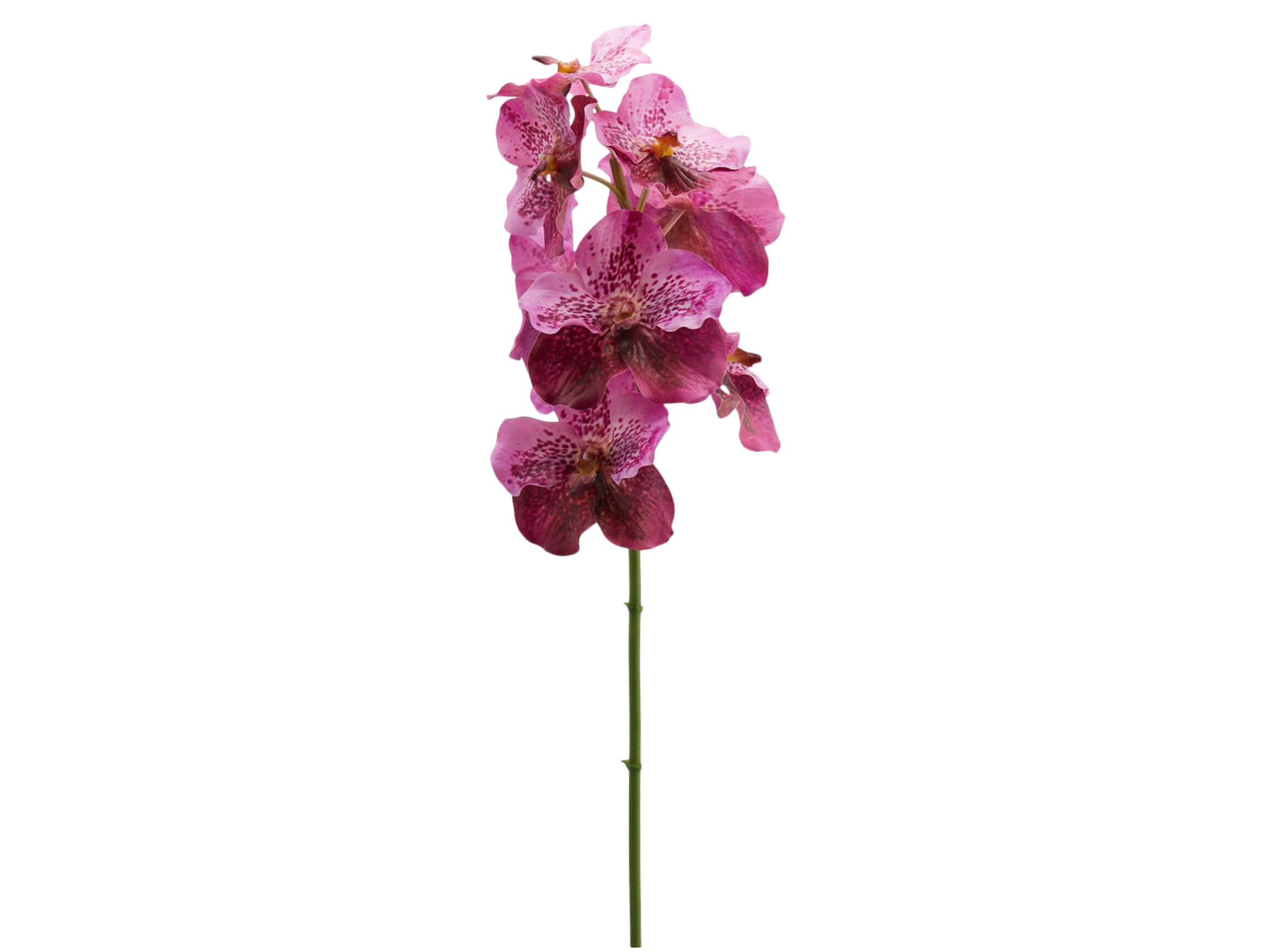 Kunstblume Orchidee Vanda Violett H: 93 cm Edg / Farbe: Violett