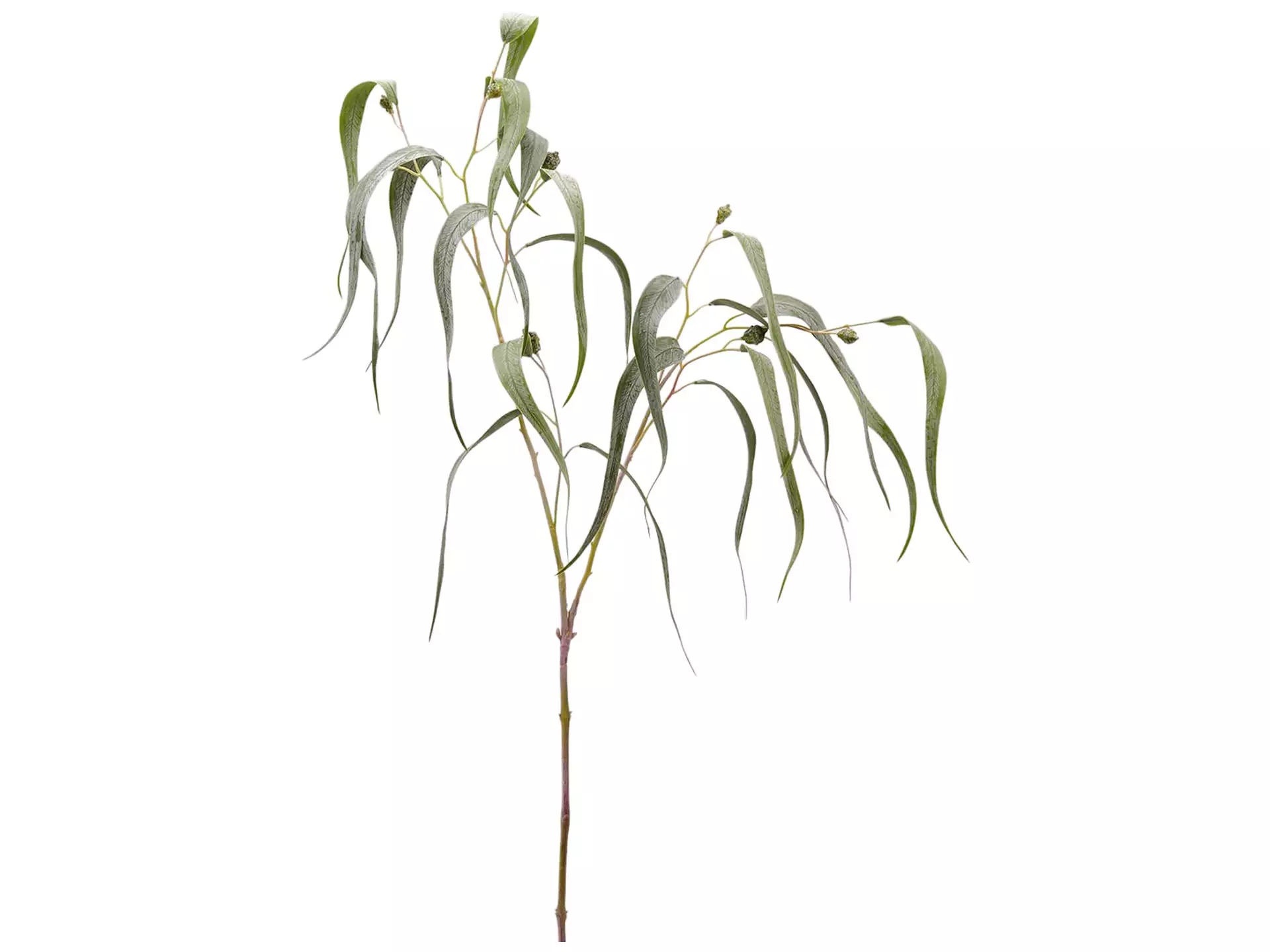 Kunstblume Eucalypthus H: 115 cm Edg
