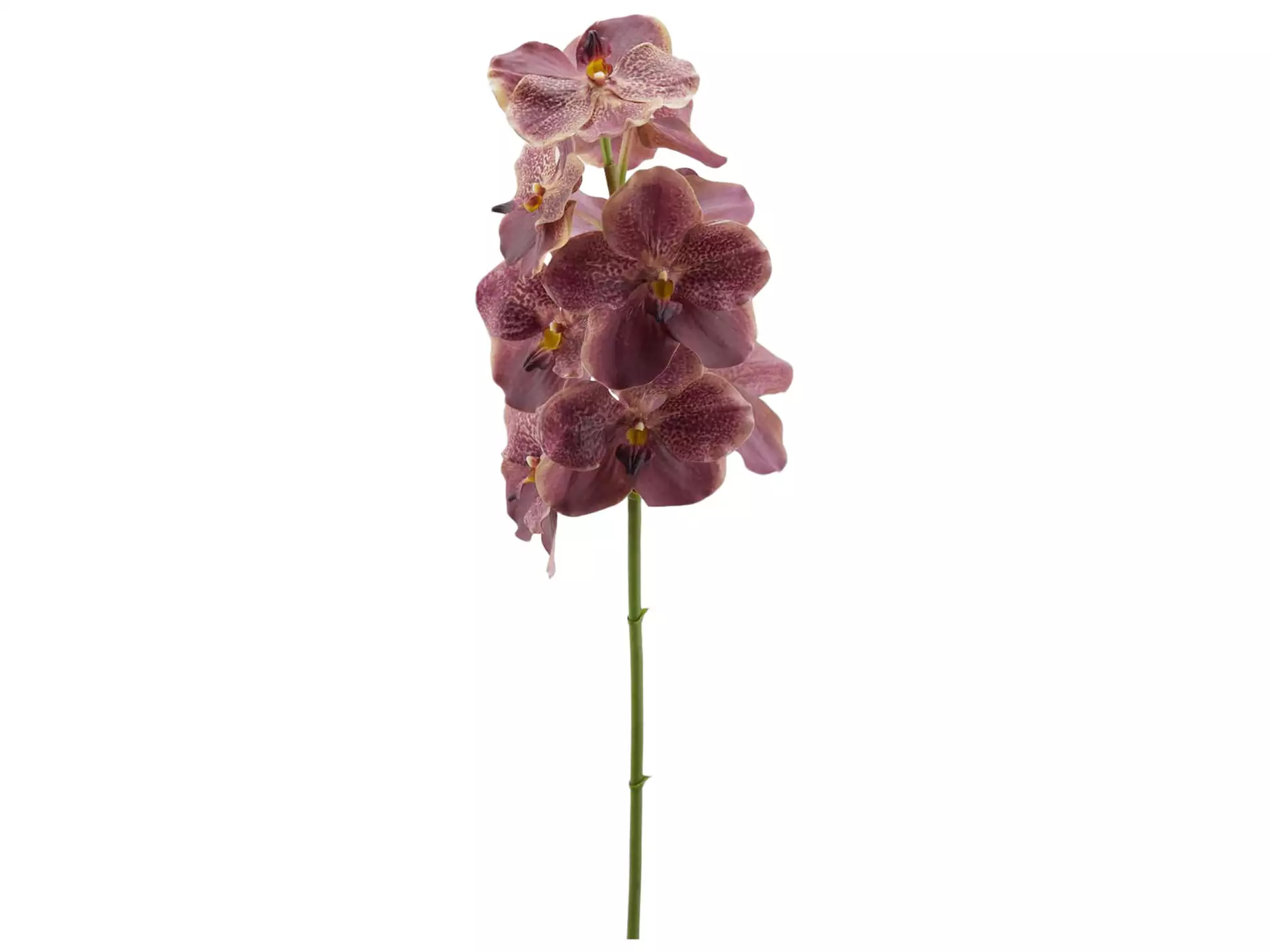 Kunstblume Orchidee Vanda Burgund H: 93 cm Edg / Farbe: Burgund