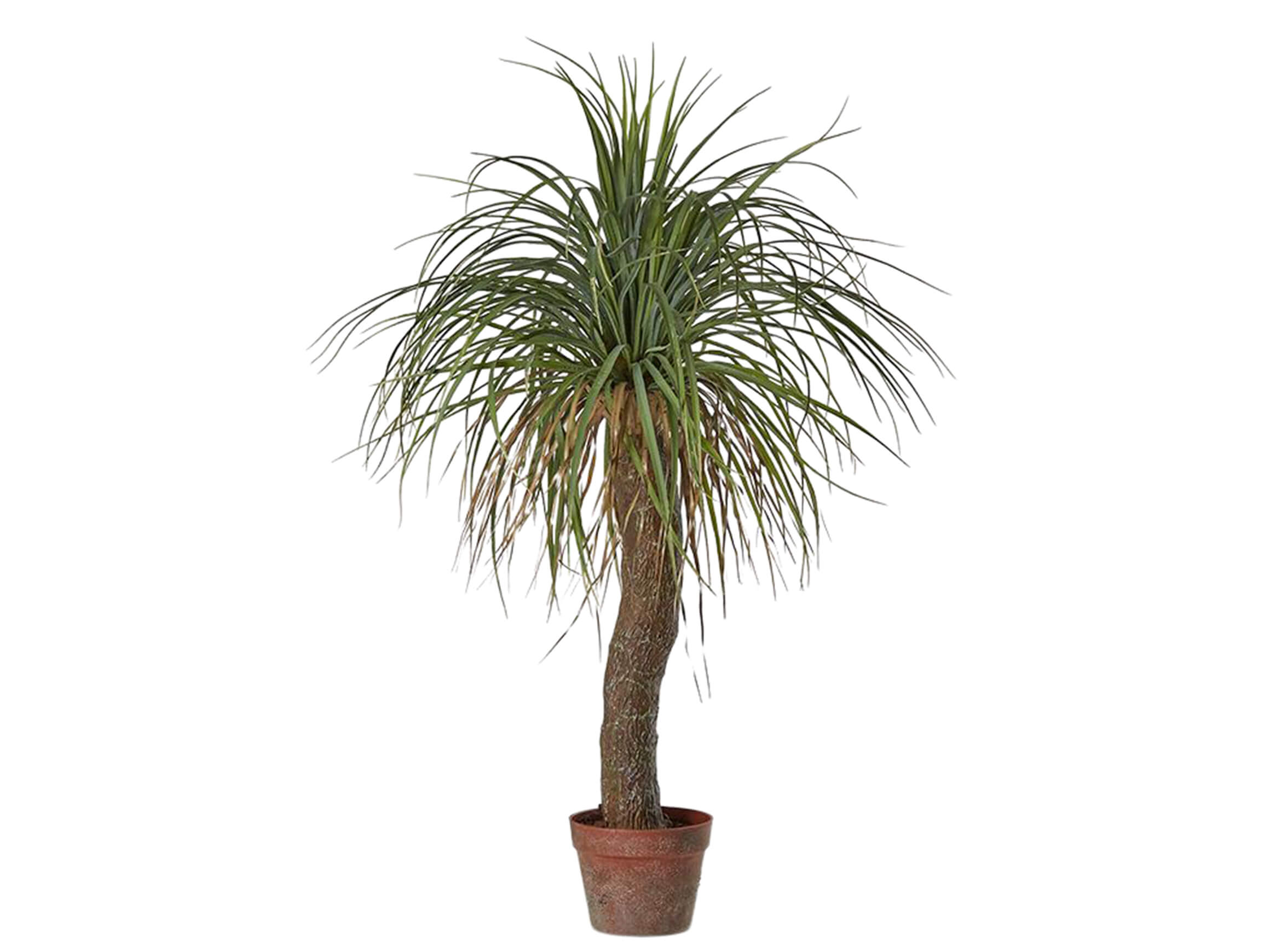 Kunstpflanze Palme Yucca h: 100 cm