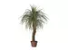 Kunstpflanze Palme Yucca h: 100 cm