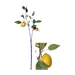 Kunstblumen-Zitronen-Ast H: 79 cm-Decofinder